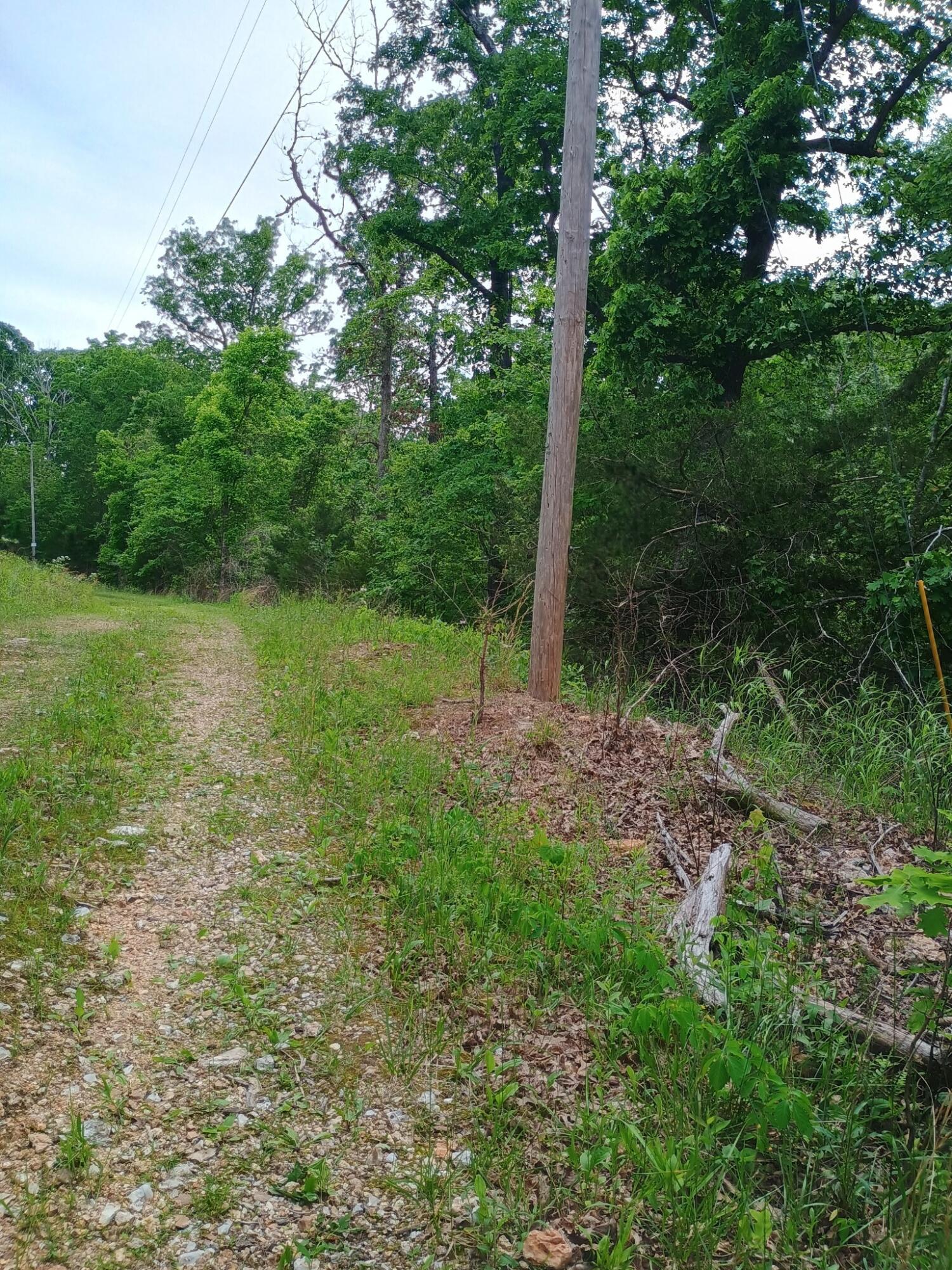 Photo 3 - Residential for sale – 16680  Cantrell Drive  Licking, MO