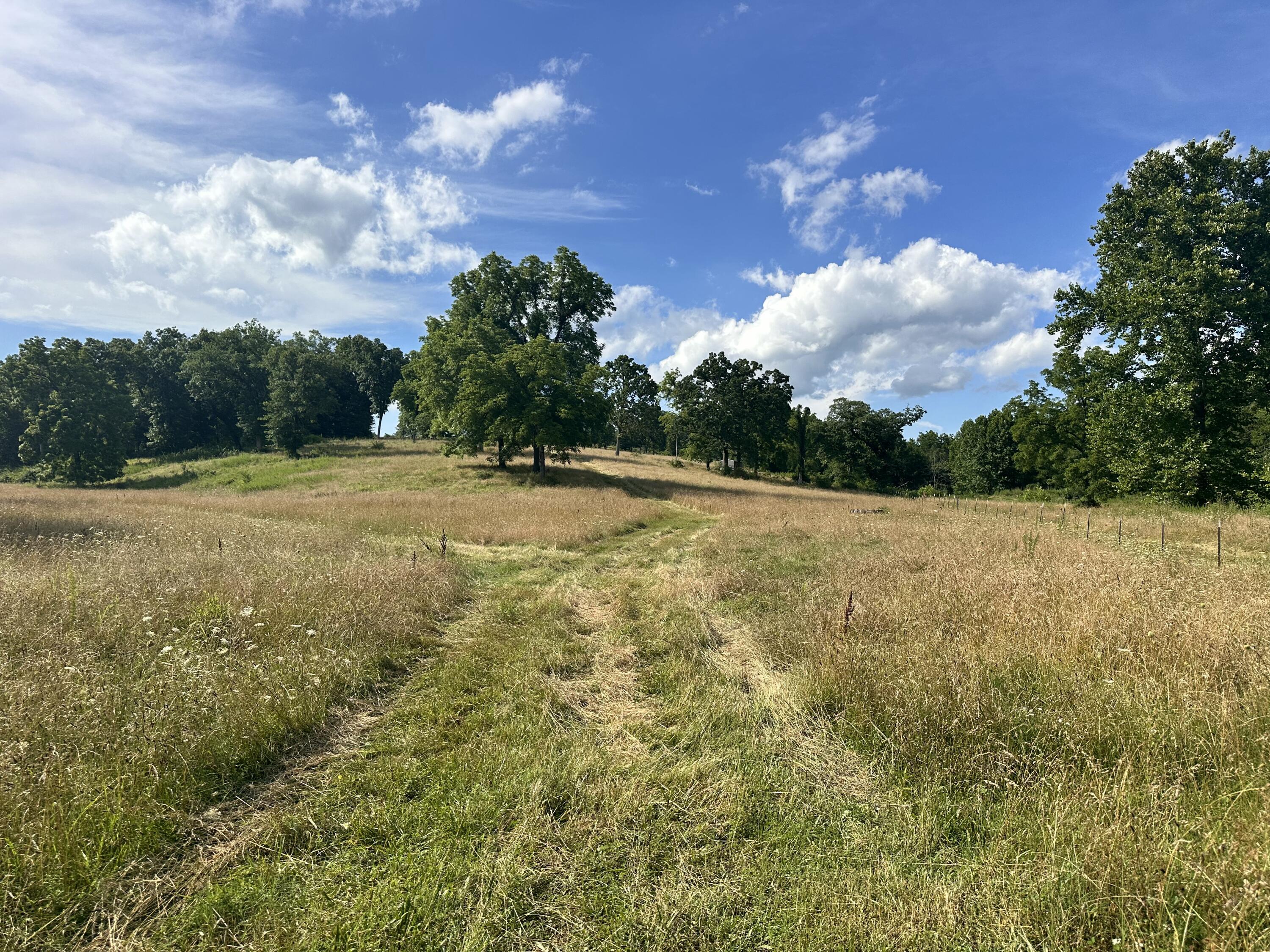 Photo 15 - Land for sale – 000  Prescott Road  Kissee Mills, MO