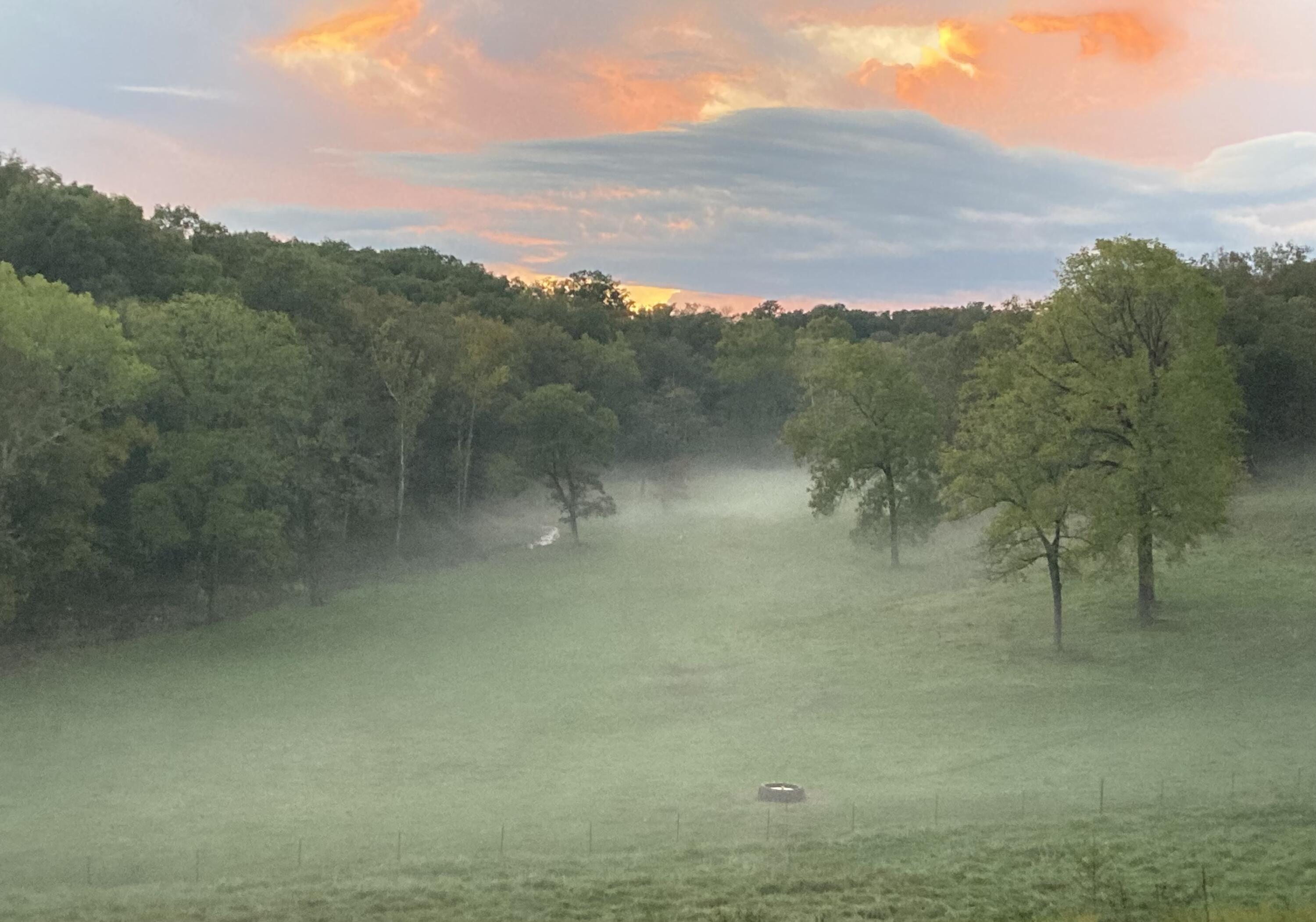 Photo 9 - Land for sale – 000  Prescott Road  Kissee Mills, MO