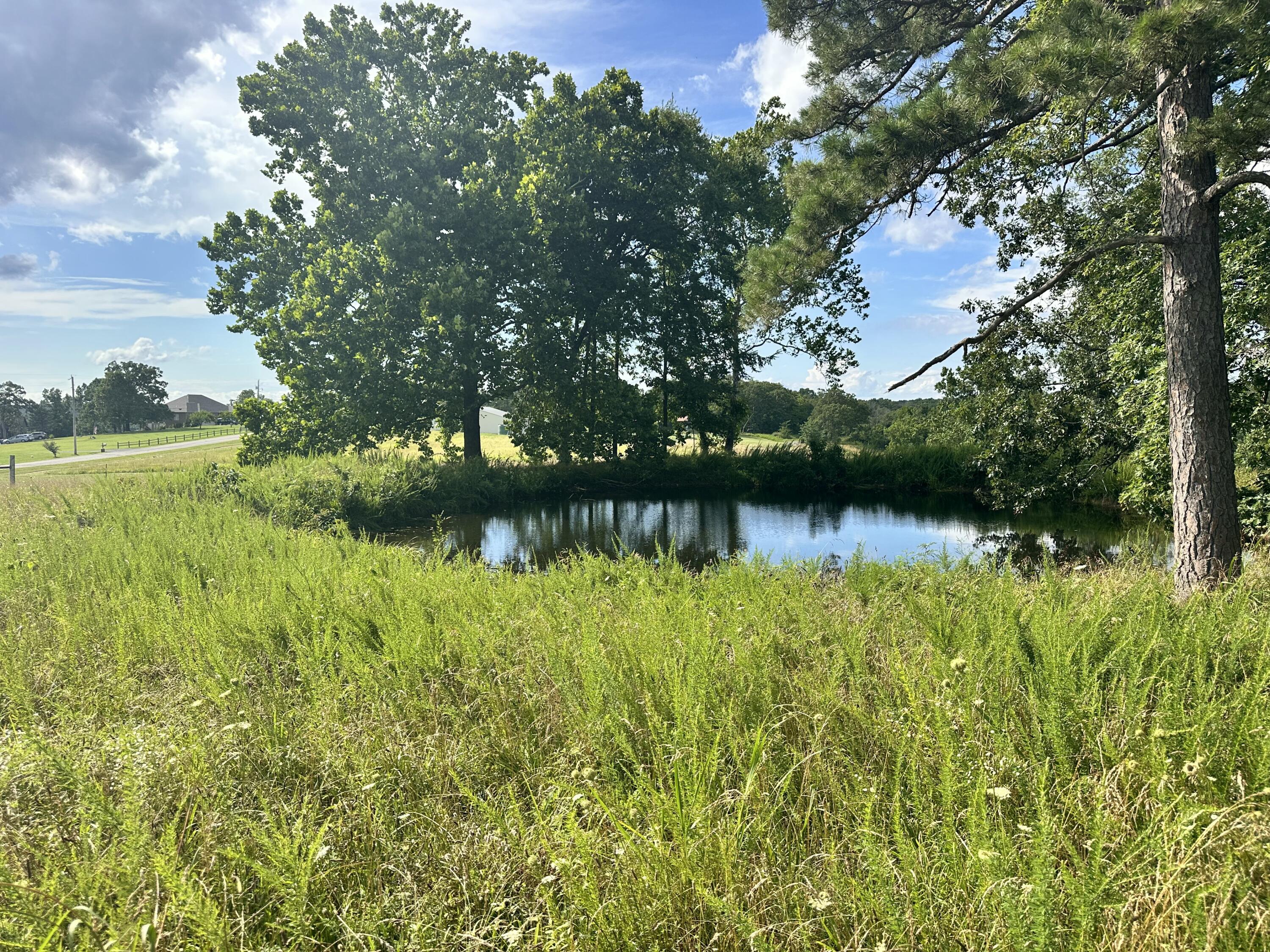Photo 5 - Land for sale – 000  Prescott Road  Kissee Mills, MO
