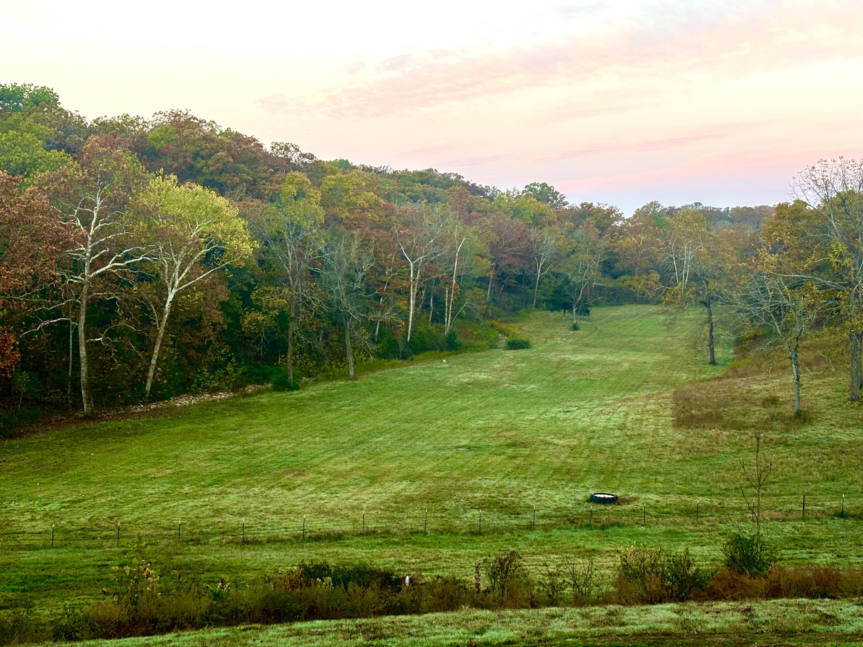 Photo 2 - Land for sale – 000  Prescott Road  Kissee Mills, MO
