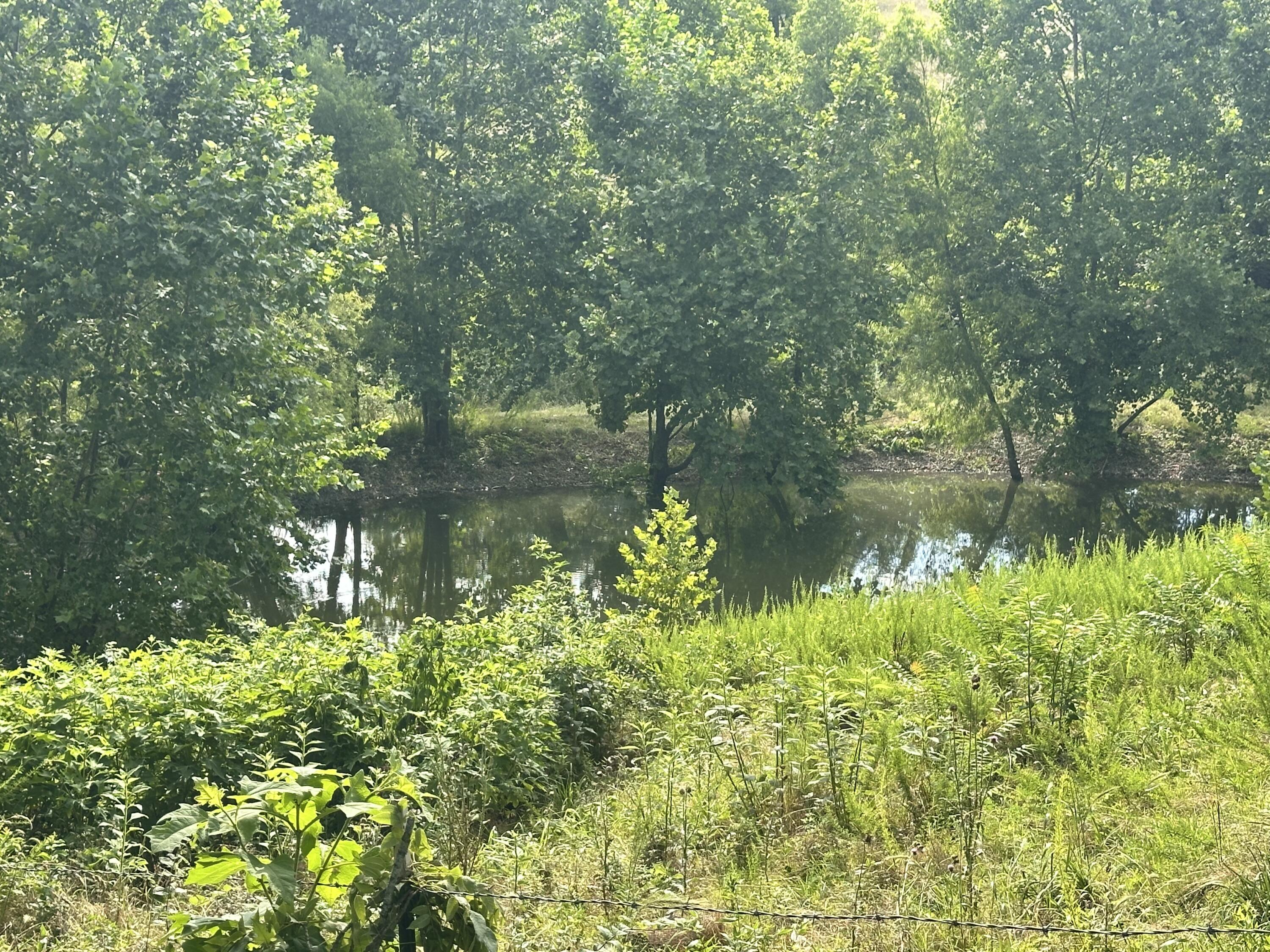 Photo 7 - Land for sale – 000  Prescott Road  Kissee Mills, MO