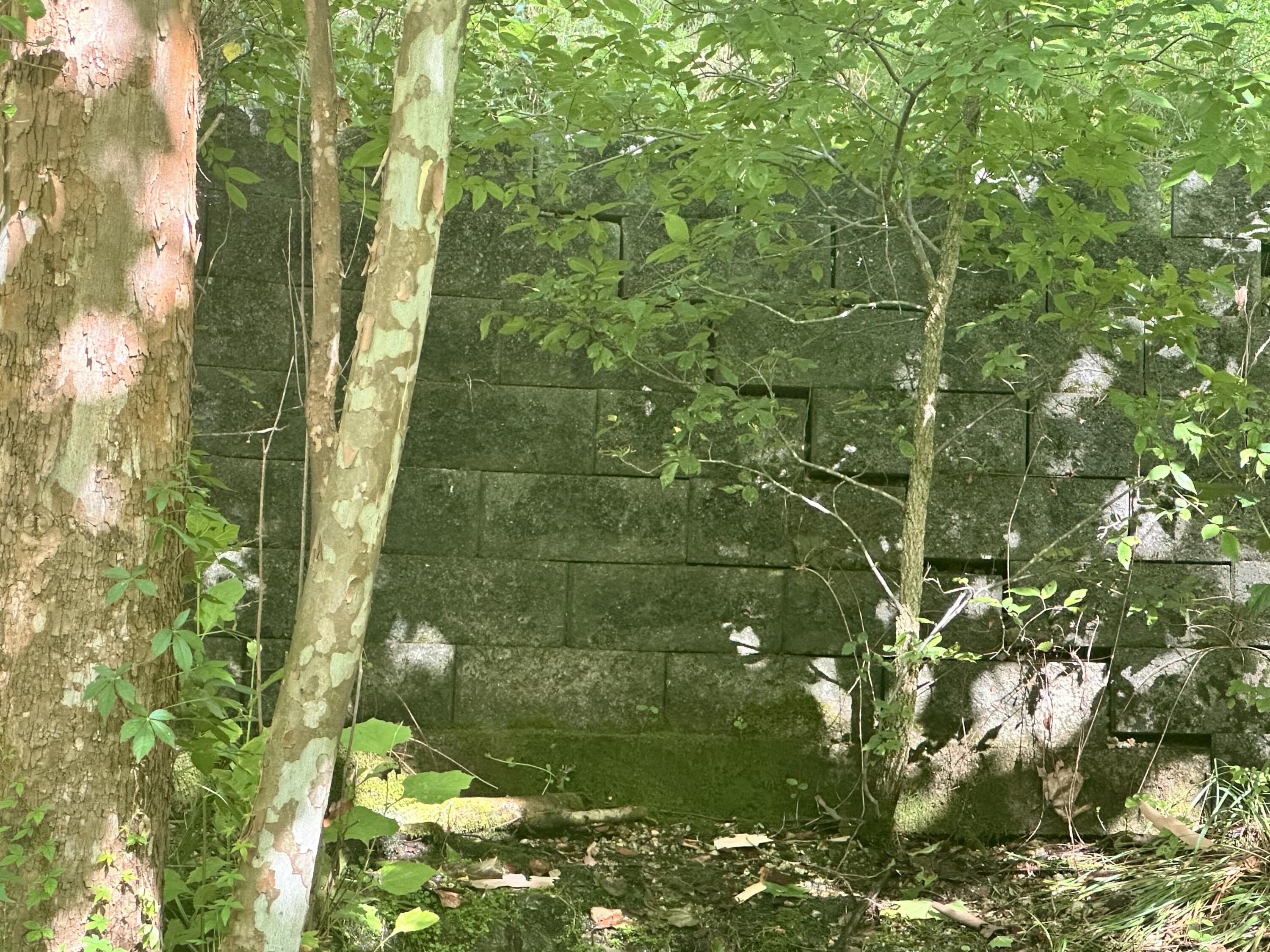 Photo 13 - Land for sale – 000  Prescott Road  Kissee Mills, MO