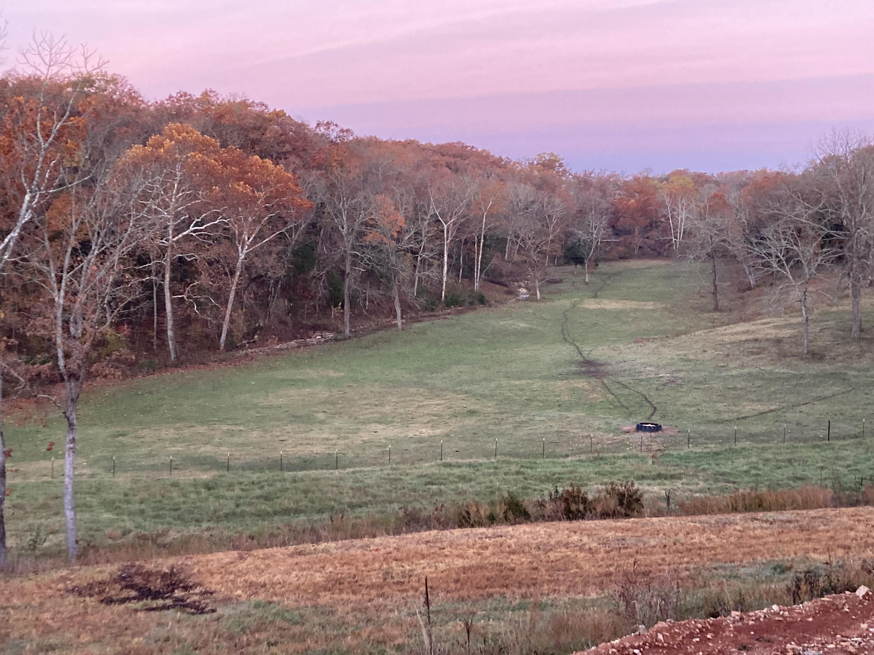 Photo 11 - Land for sale – 000  Prescott Road  Kissee Mills, MO
