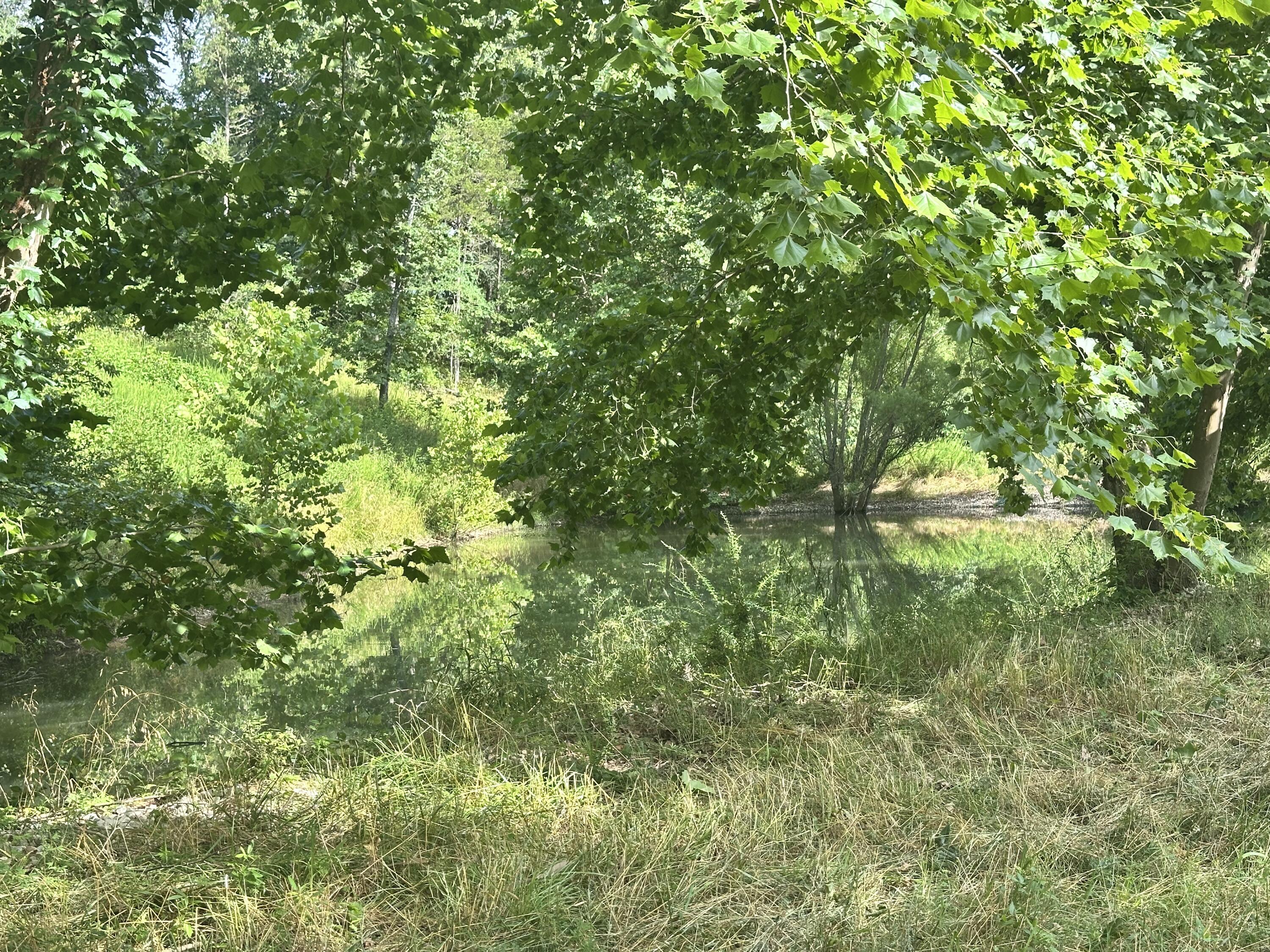Photo 14 - Land for sale – 000  Prescott Road  Kissee Mills, MO