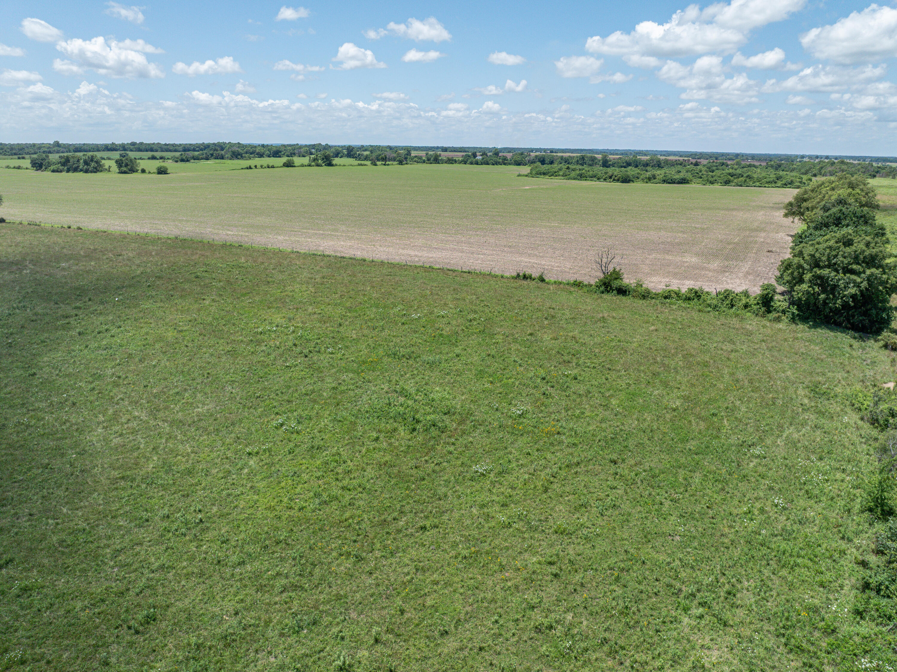 Photo 58 - Farm for sale – 861 N Dade 41   Lockwood, MO
