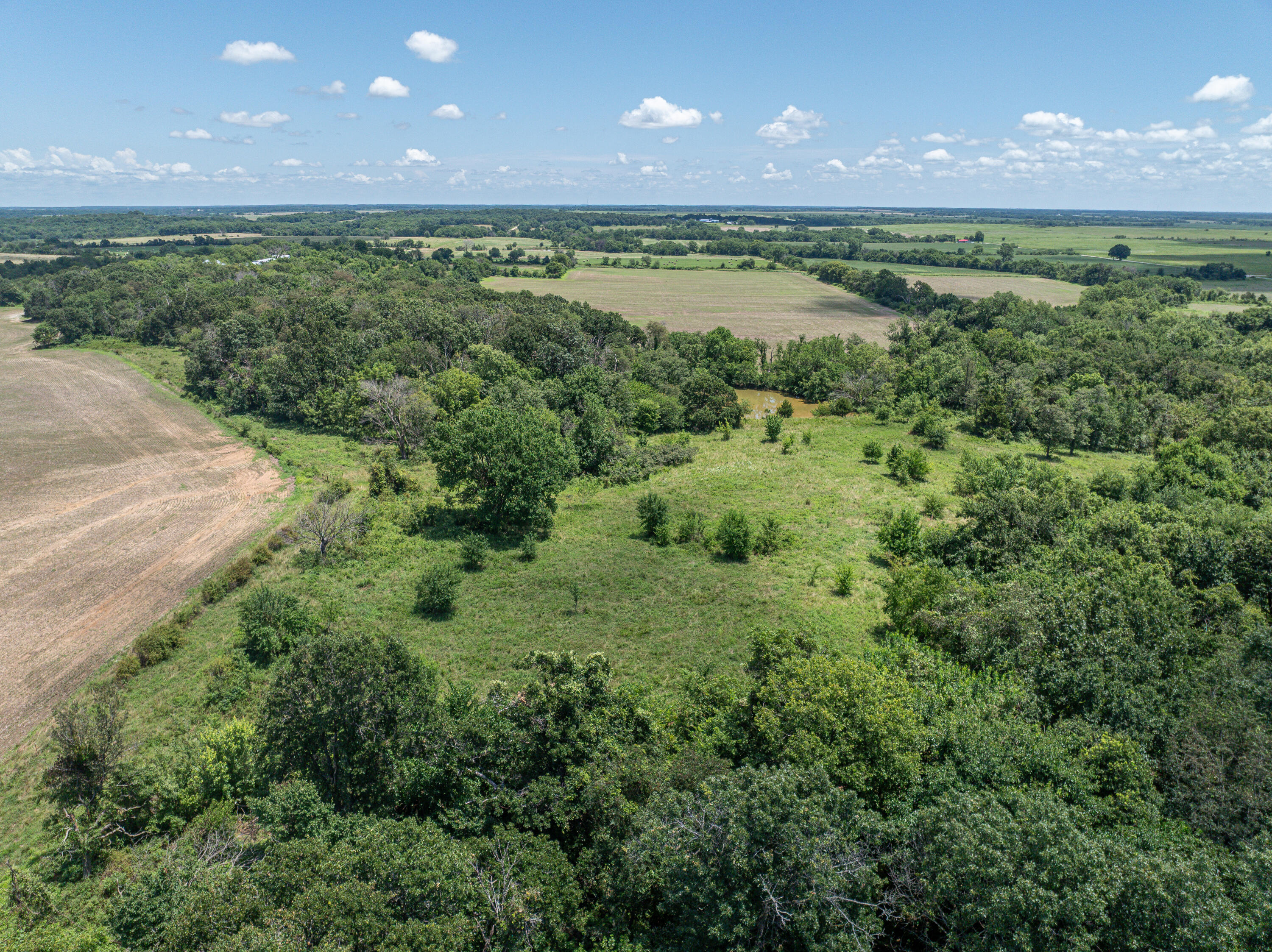 Photo 80 - Farm for sale – 861 N Dade 41   Lockwood, MO