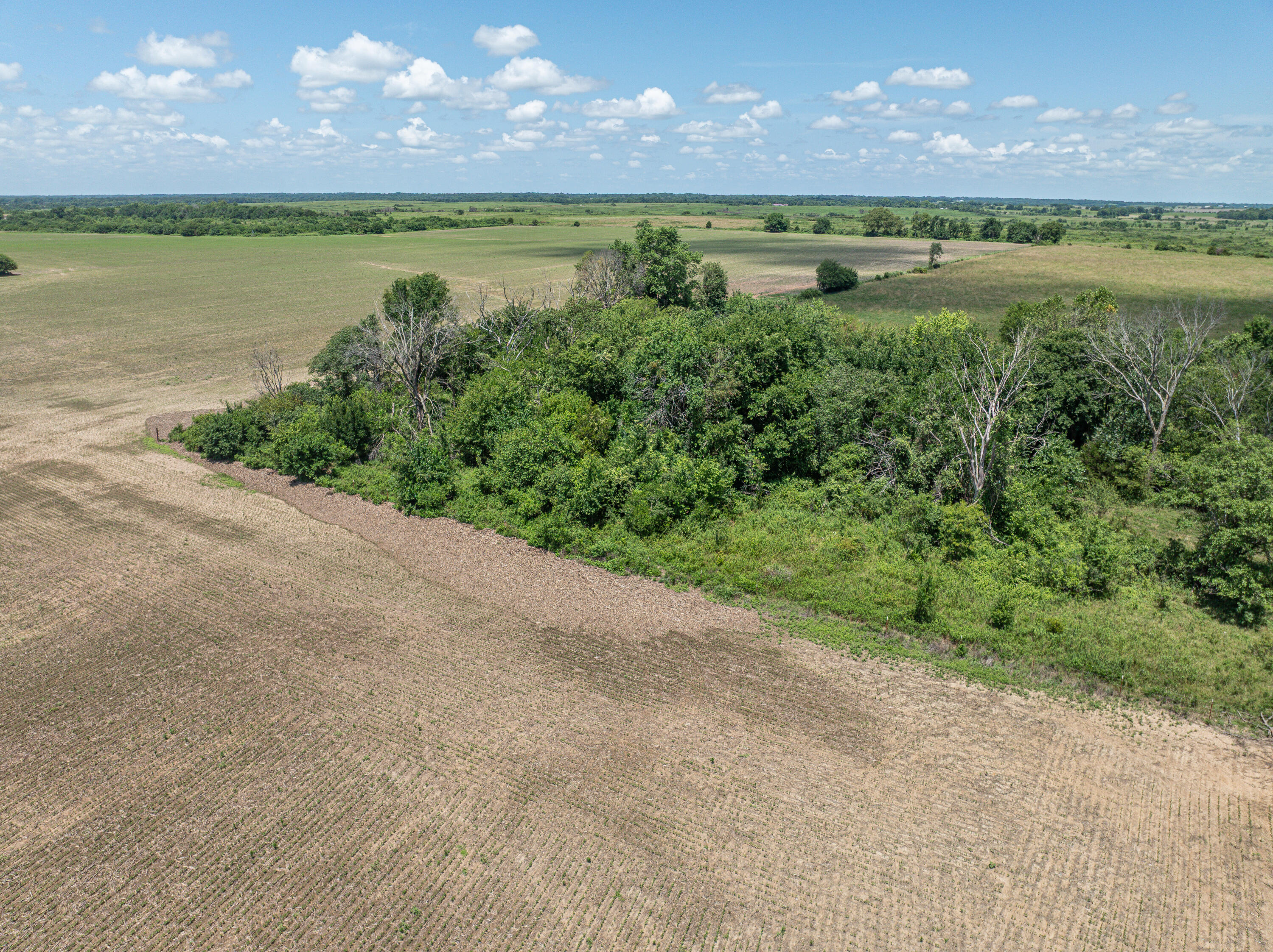 Photo 55 - Farm for sale – 861 N Dade 41   Lockwood, MO