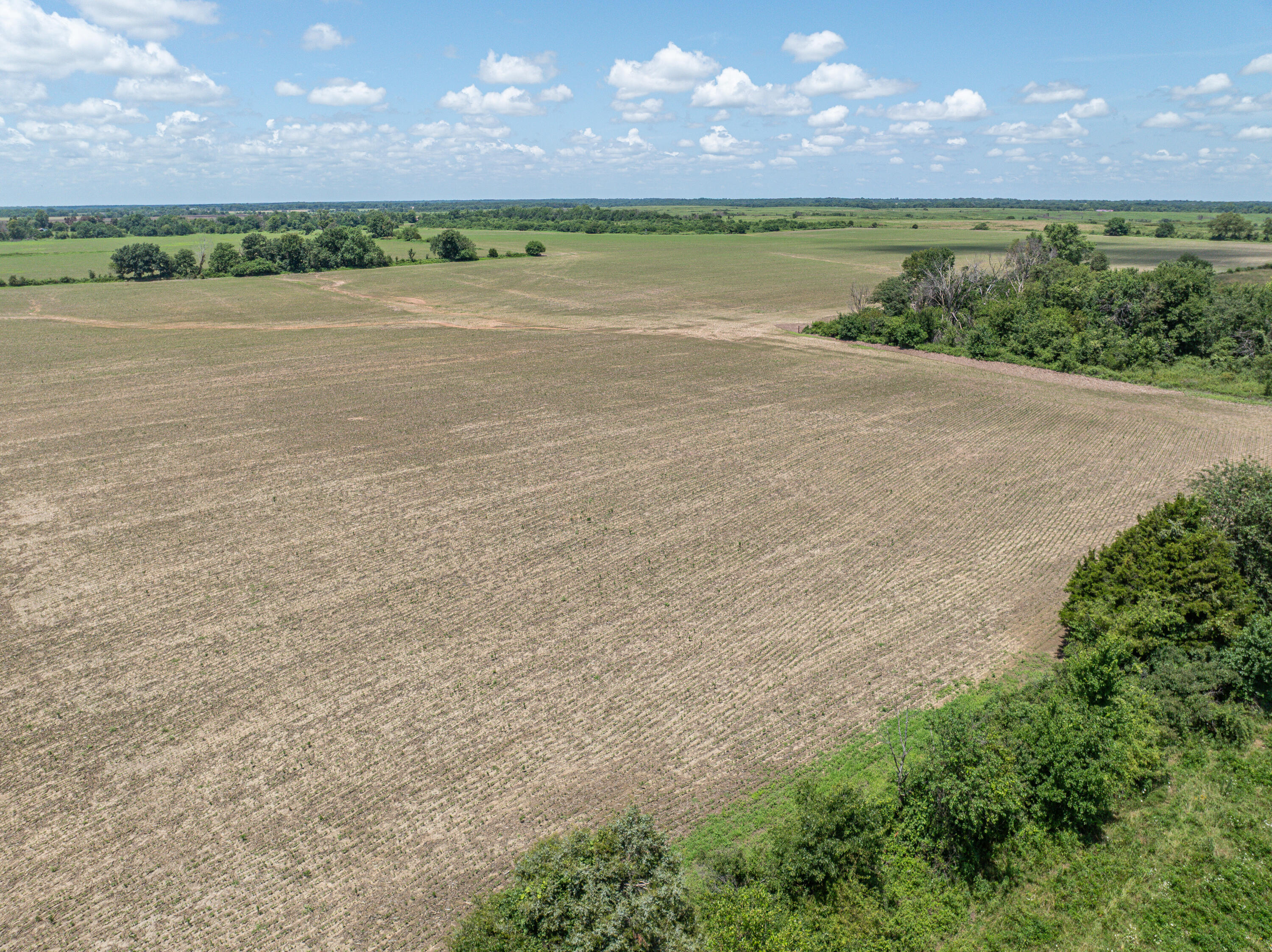 Photo 54 - Farm for sale – 861 N Dade 41   Lockwood, MO