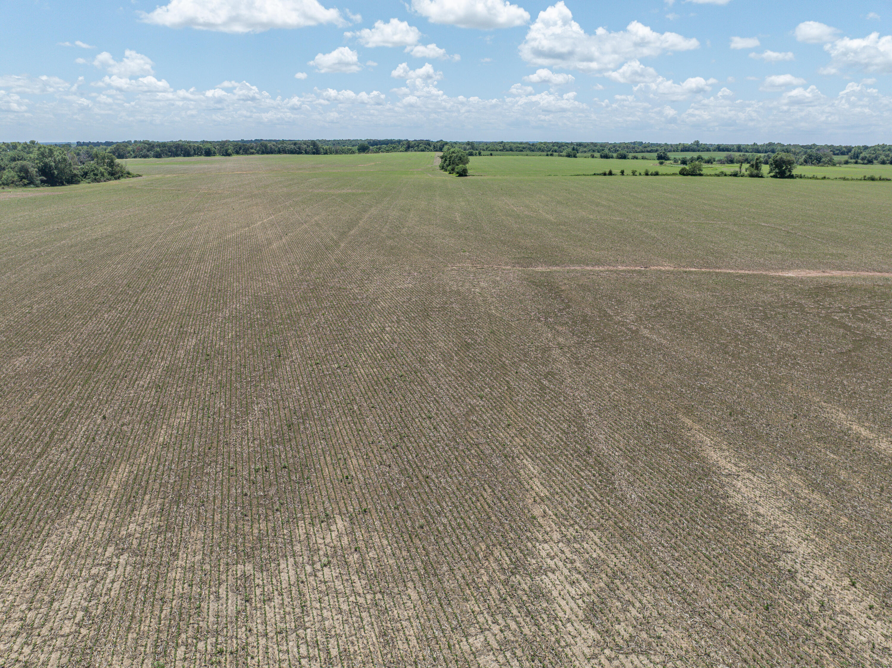 Photo 3 - Farm for sale – 861 N Dade 41   Lockwood, MO