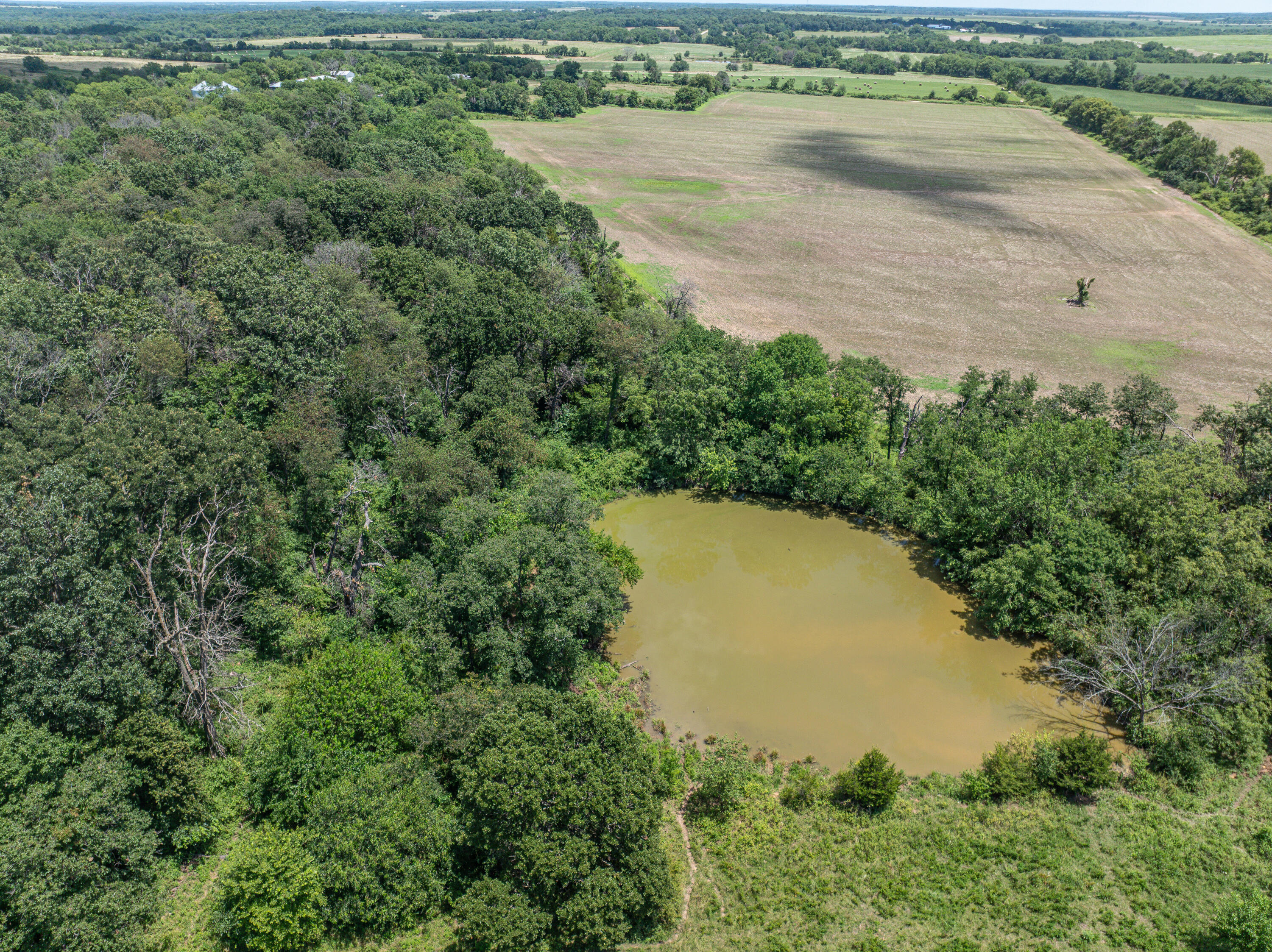 Photo 81 - Farm for sale – 861 N Dade 41   Lockwood, MO