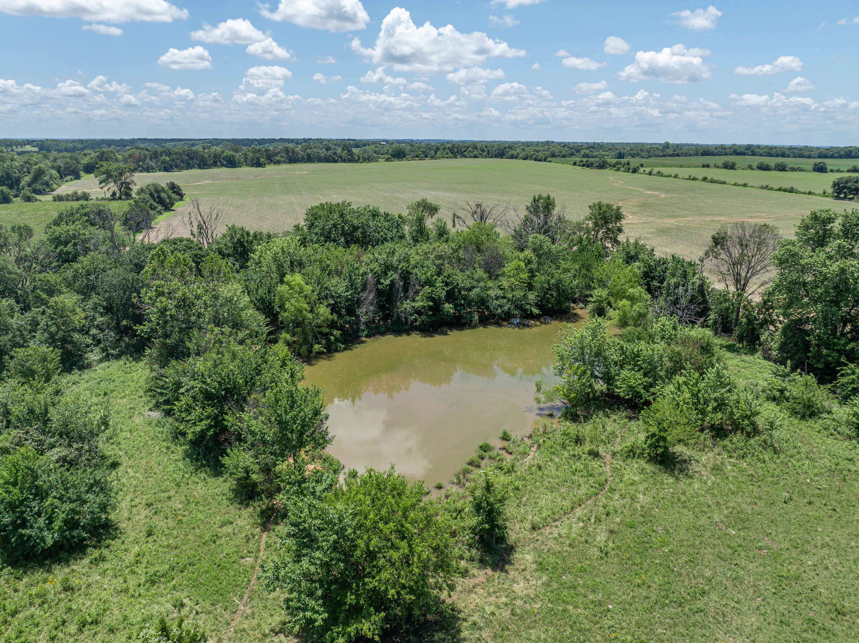 Photo 56 - Farm for sale – 861 N Dade 41   Lockwood, MO
