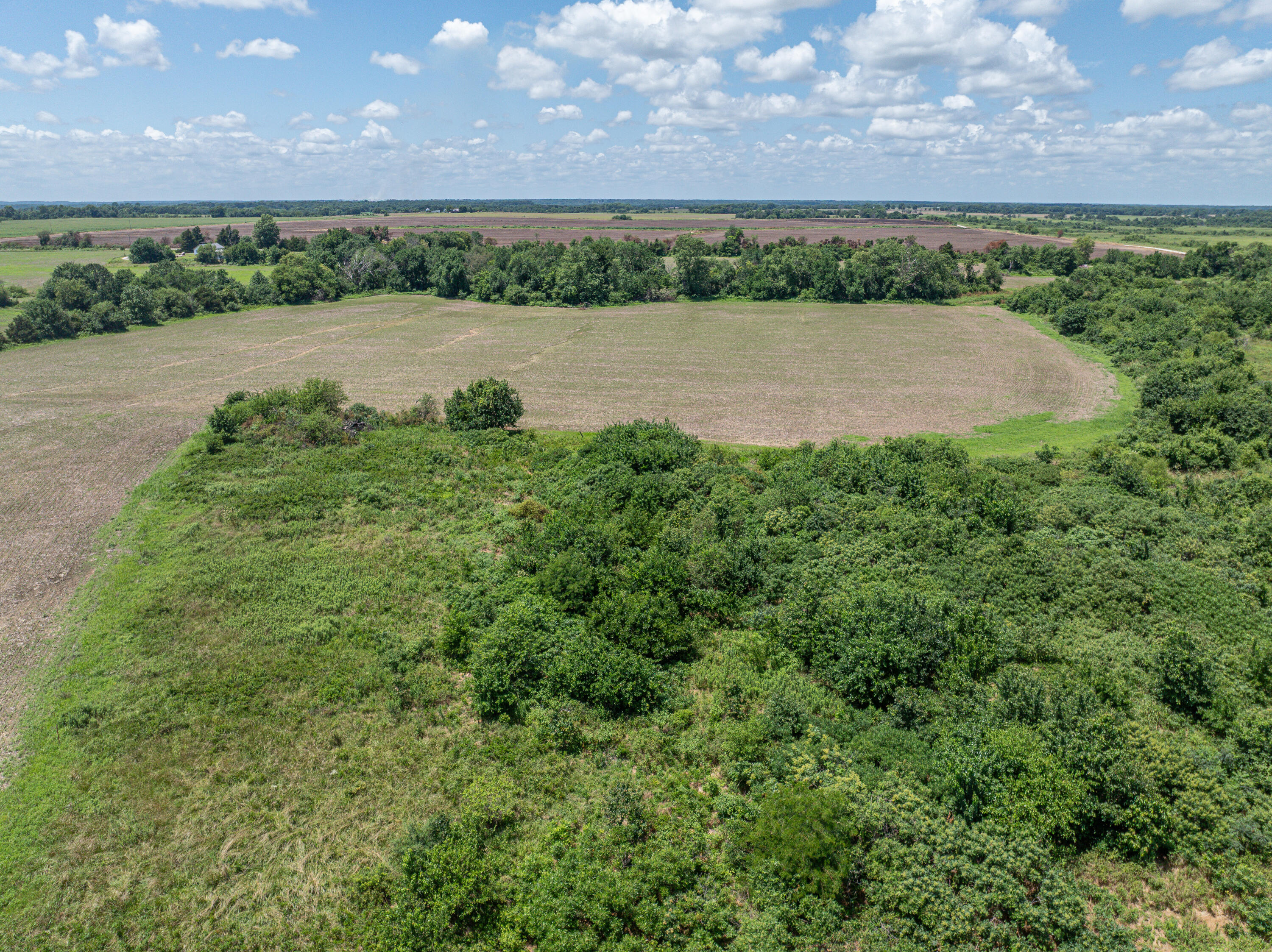 Photo 64 - Farm for sale – 861 N Dade 41   Lockwood, MO