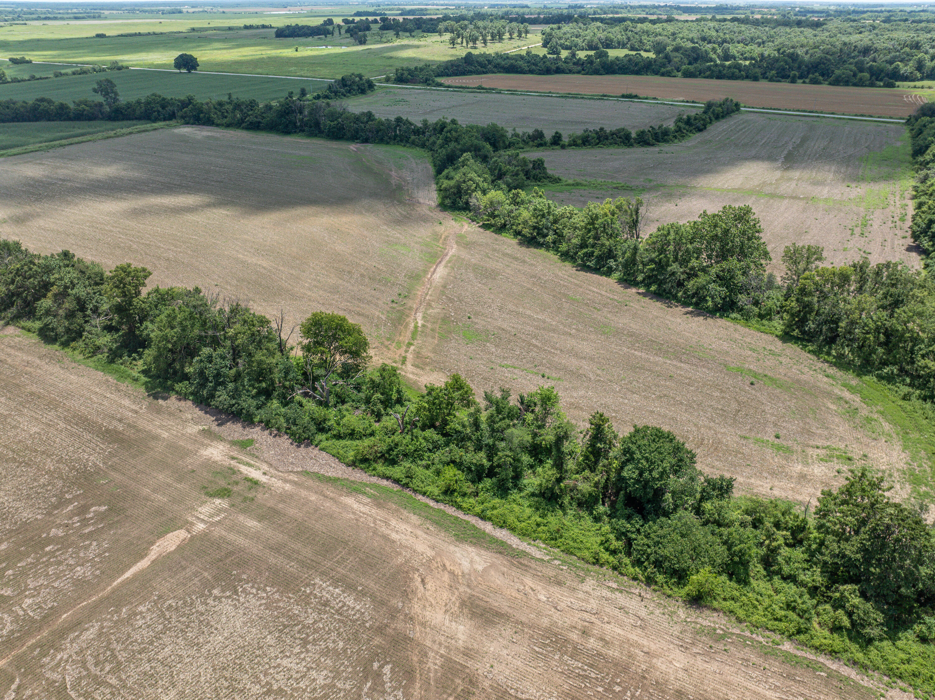 Photo 83 - Farm for sale – 861 N Dade 41   Lockwood, MO