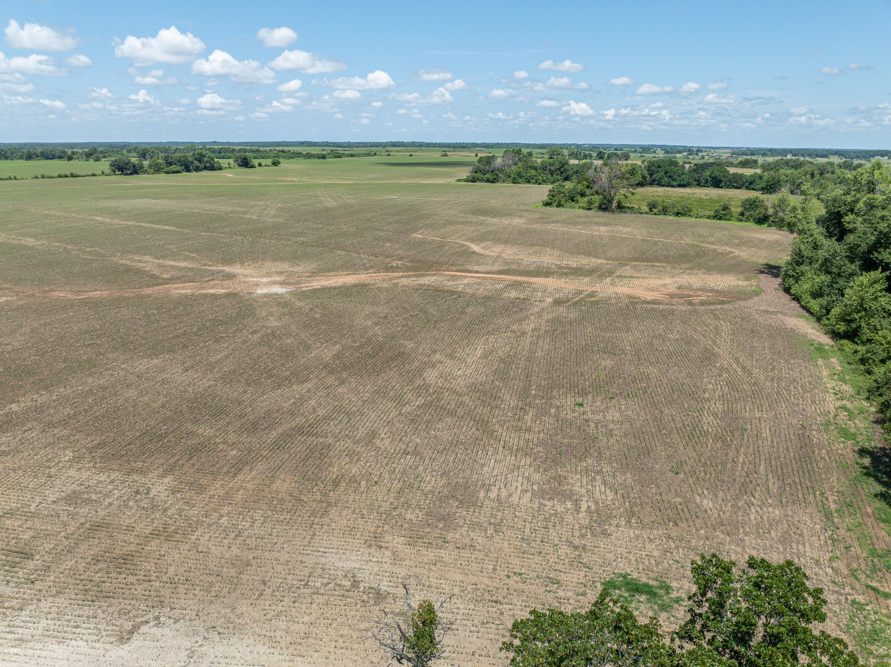 Photo 52 - Farm for sale – 861 N Dade 41   Lockwood, MO