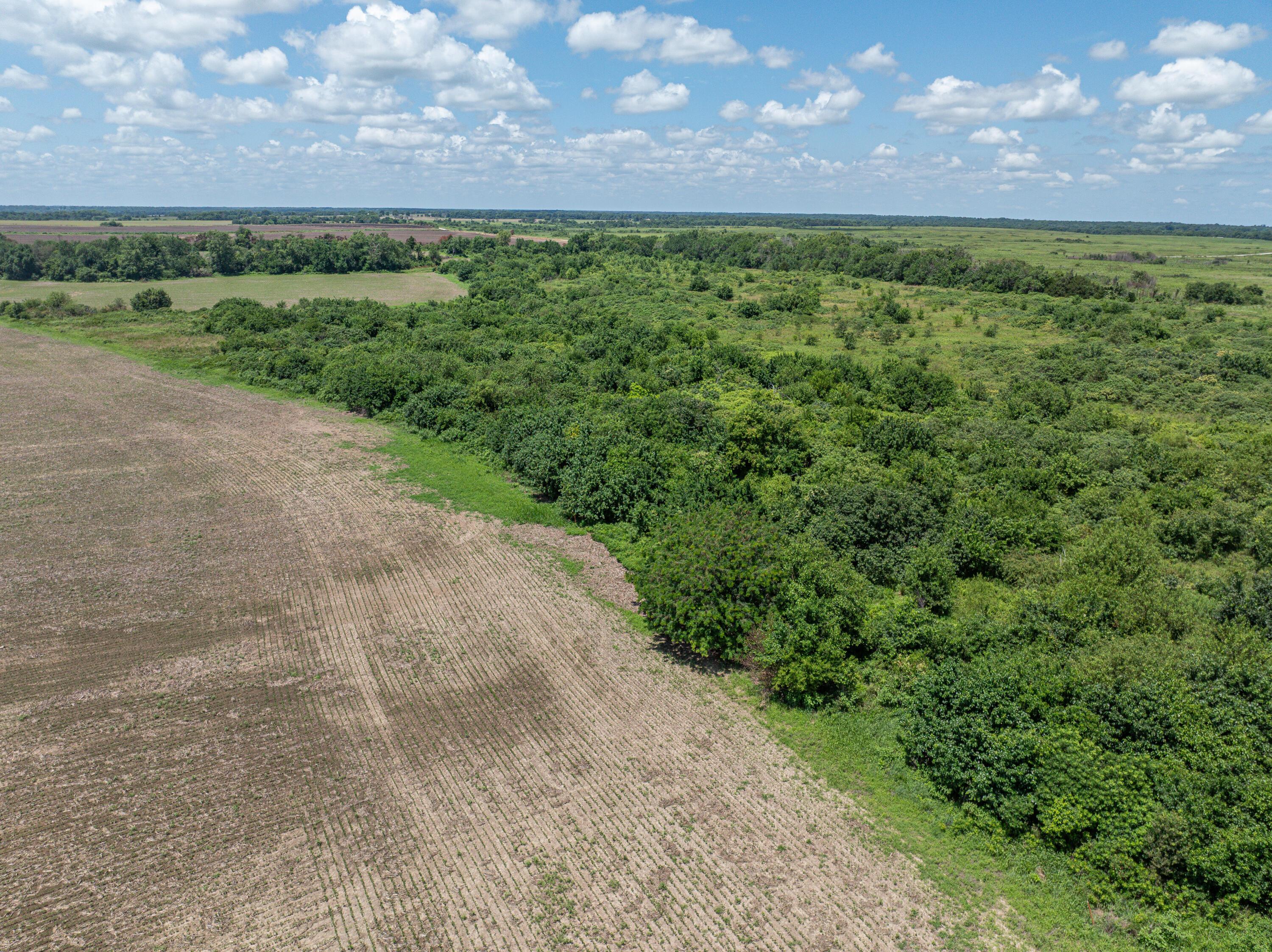 Photo 63 - Farm for sale – 861 N Dade 41   Lockwood, MO