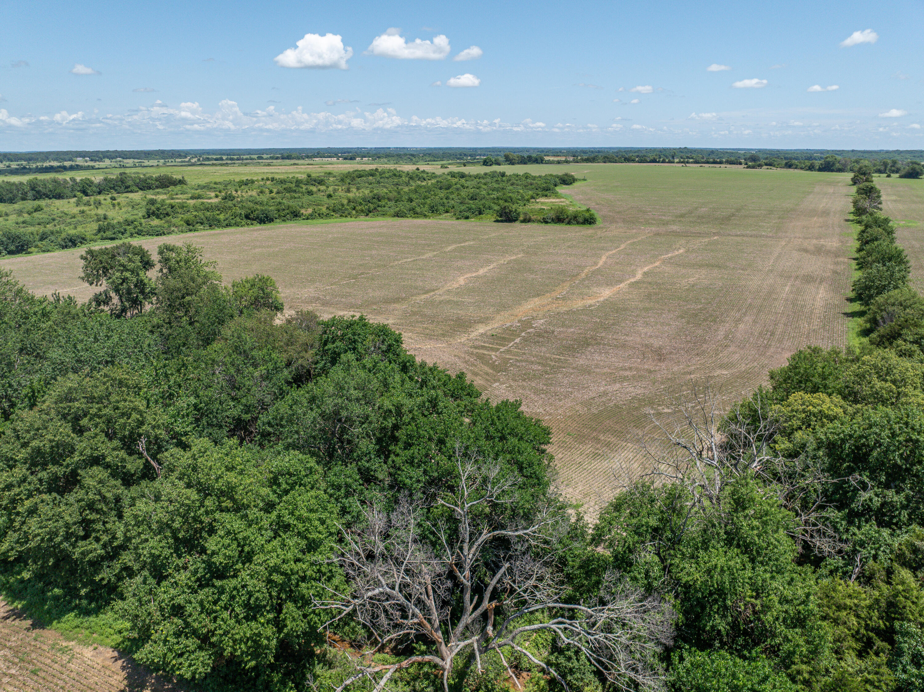 Photo 70 - Farm for sale – 861 N Dade 41   Lockwood, MO