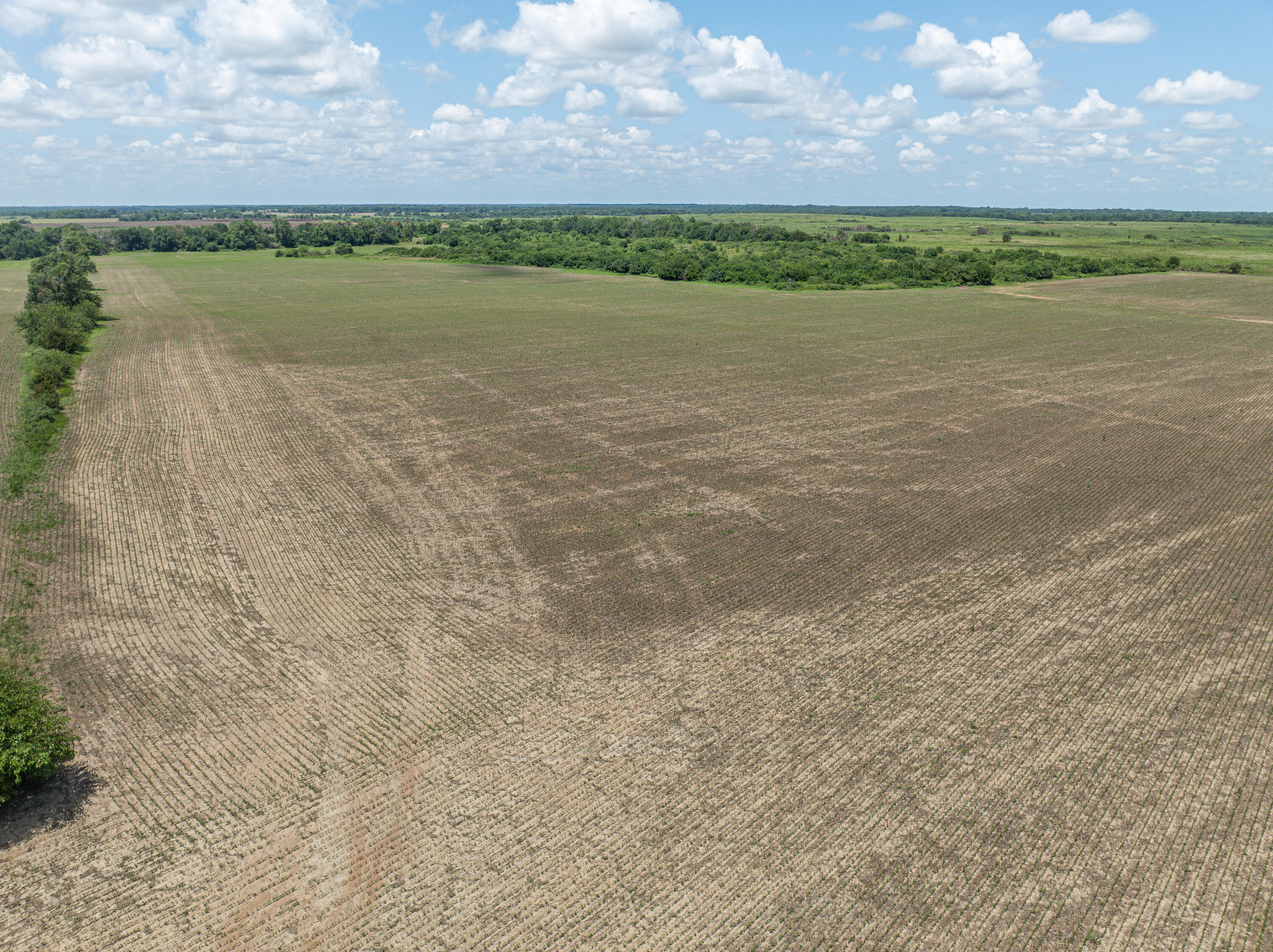 Photo 76 - Farm for sale – 861 N Dade 41   Lockwood, MO