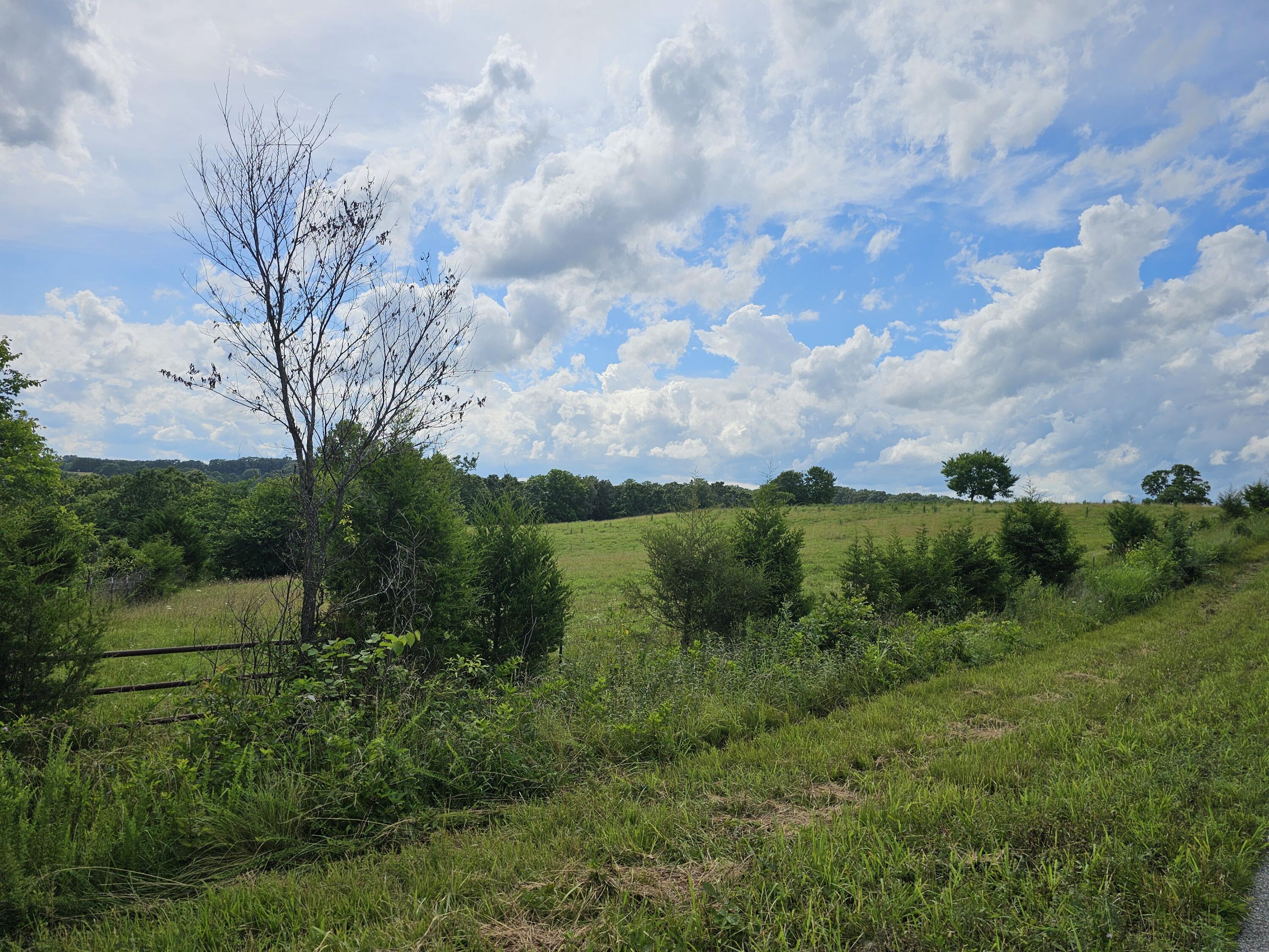 Photo 5 - Commercial Sale for sale – 000  State Hwy Jj   Squires, MO