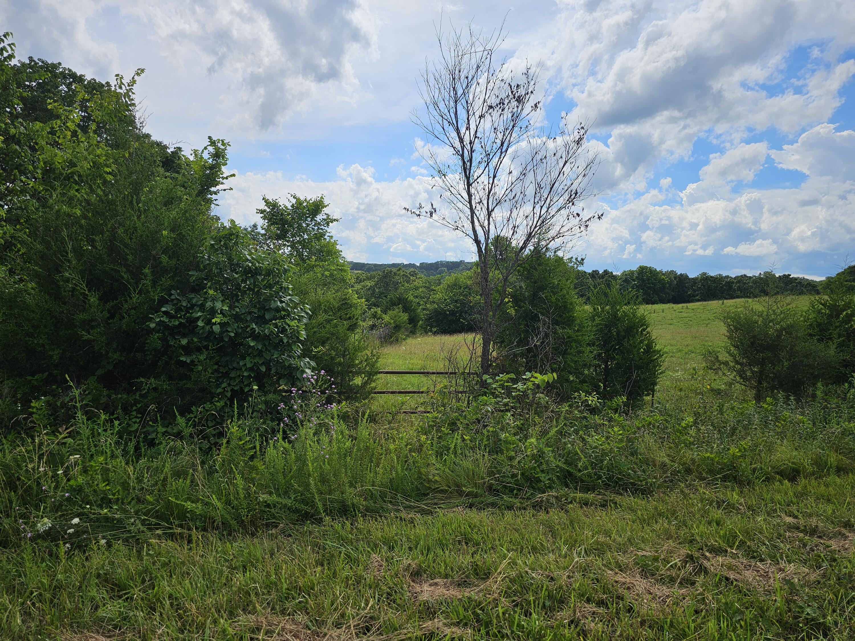 Photo 6 - Commercial Sale for sale – 000  State Hwy Jj   Squires, MO