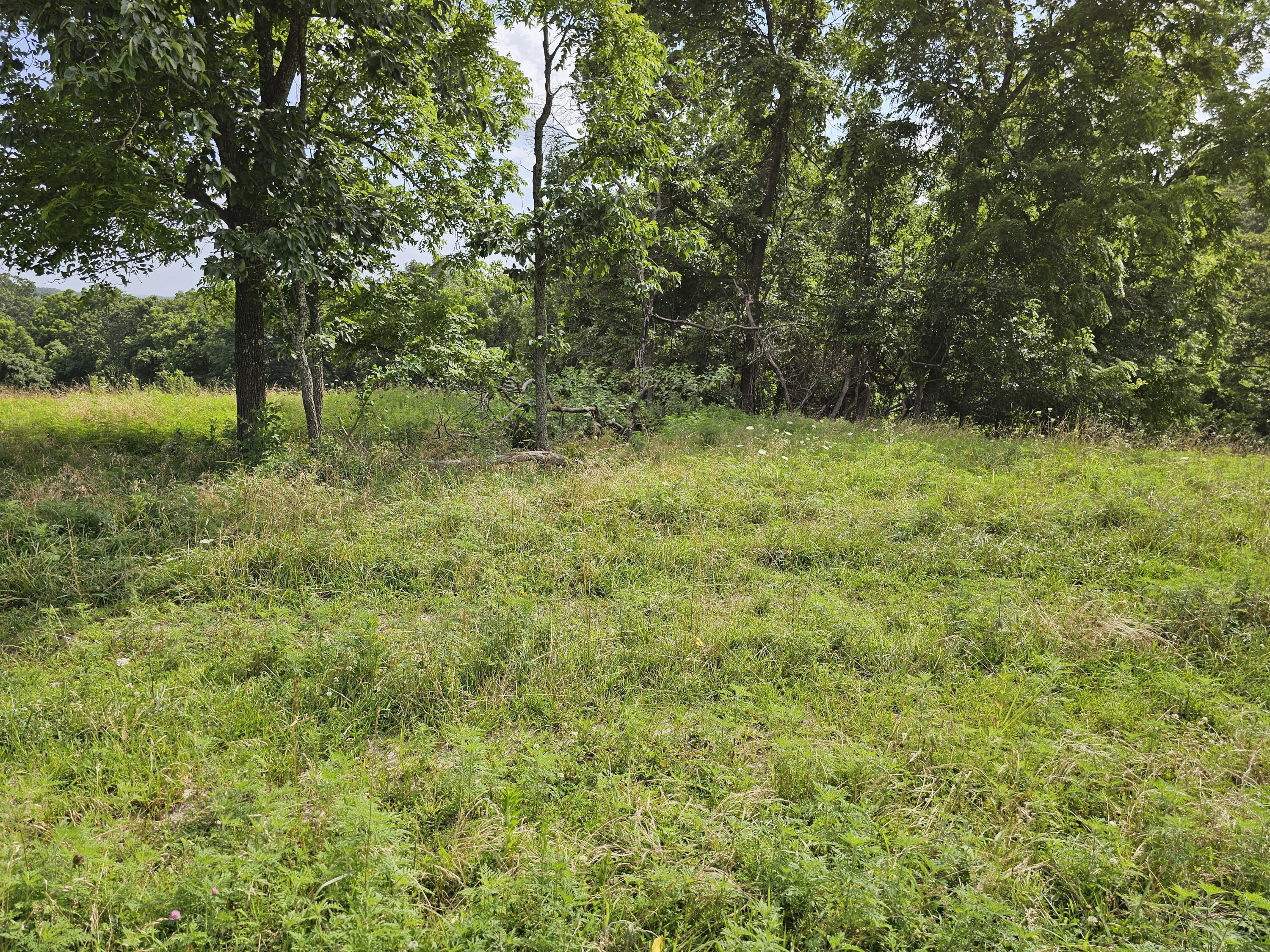 Photo 14 - Commercial Sale for sale – 000  State Hwy Jj   Squires, MO