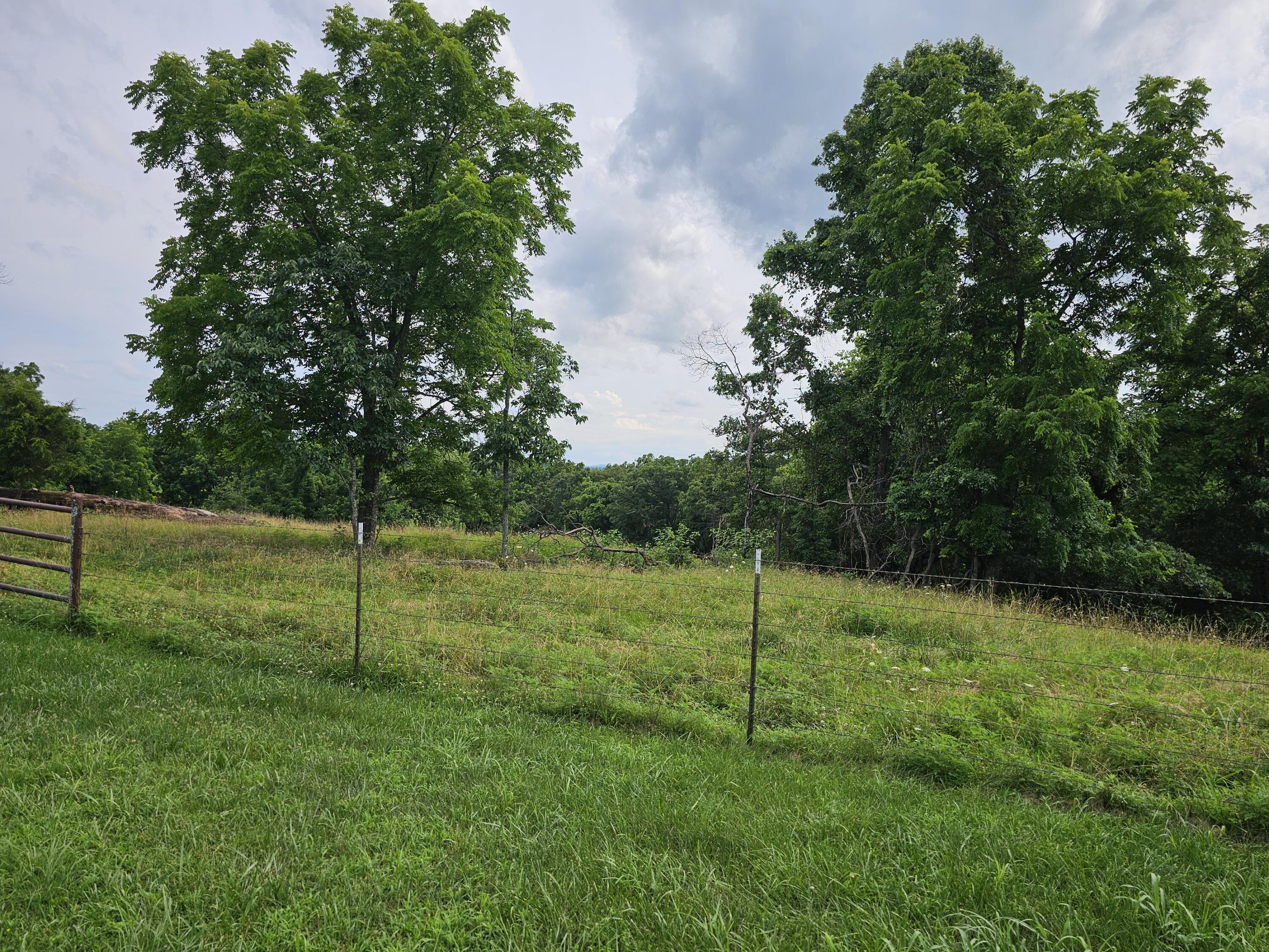 Photo 3 - Commercial Sale for sale – 000  State Hwy Jj   Squires, MO