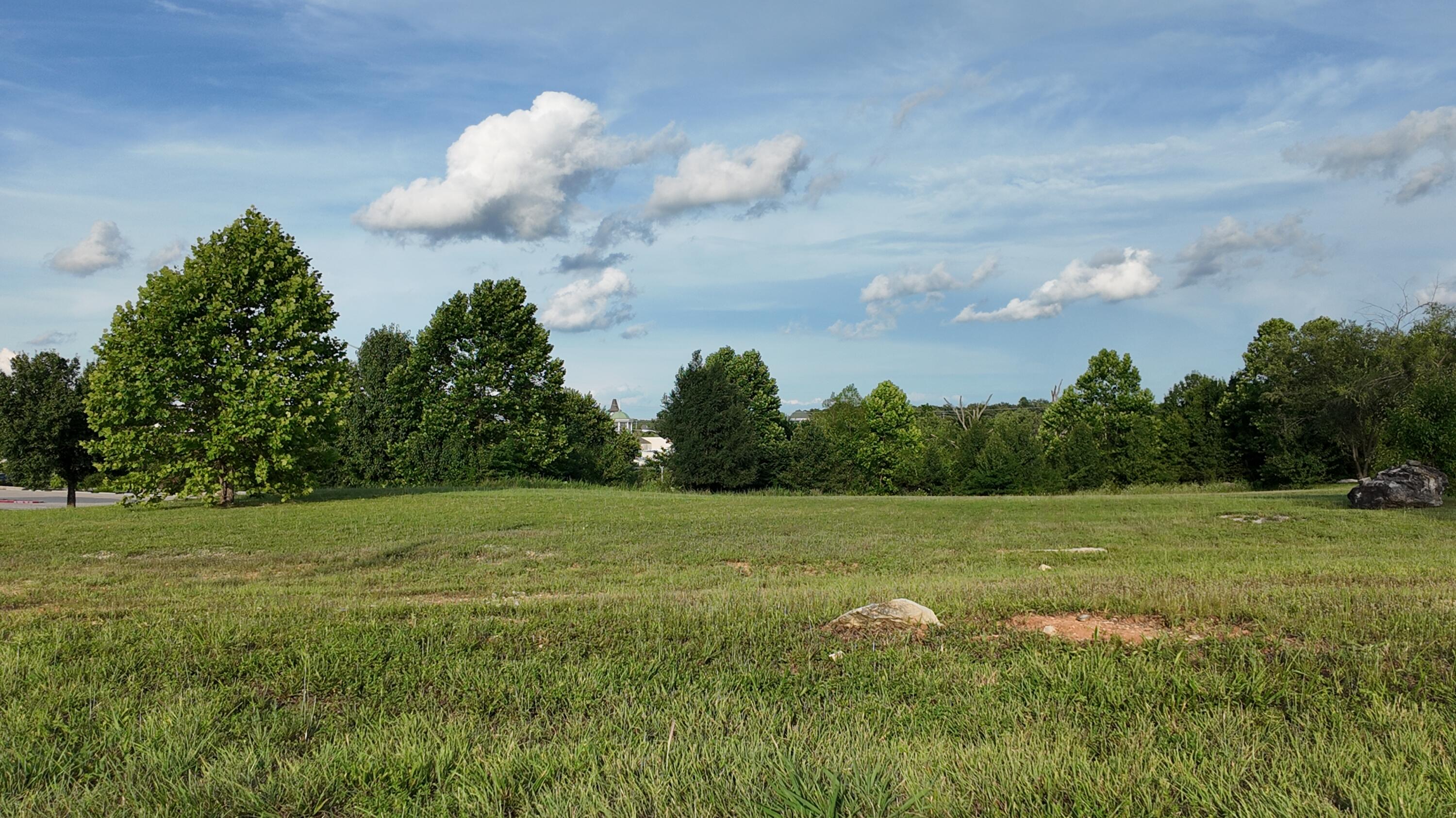 Photo 5 - Land for sale – 3500  Gretna Road  Branson, MO