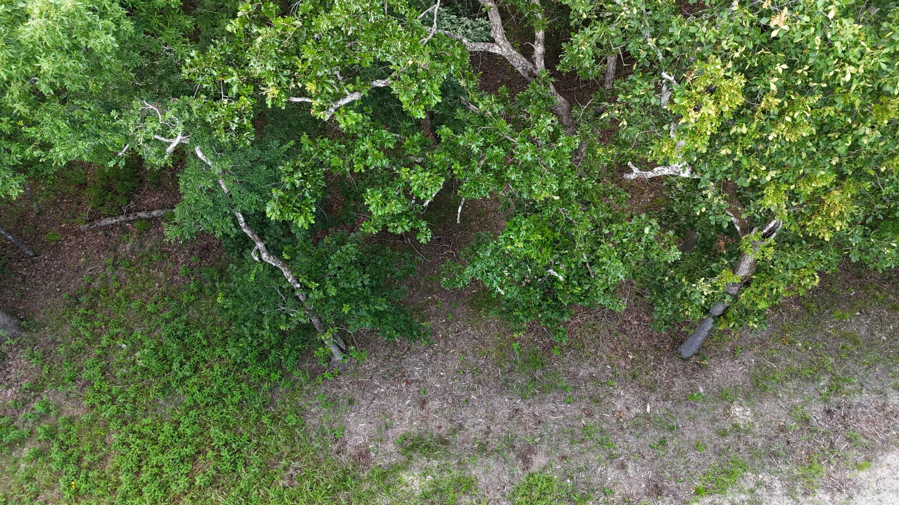 Land for sale – 000  Bluebird Dr.   Golden, MO