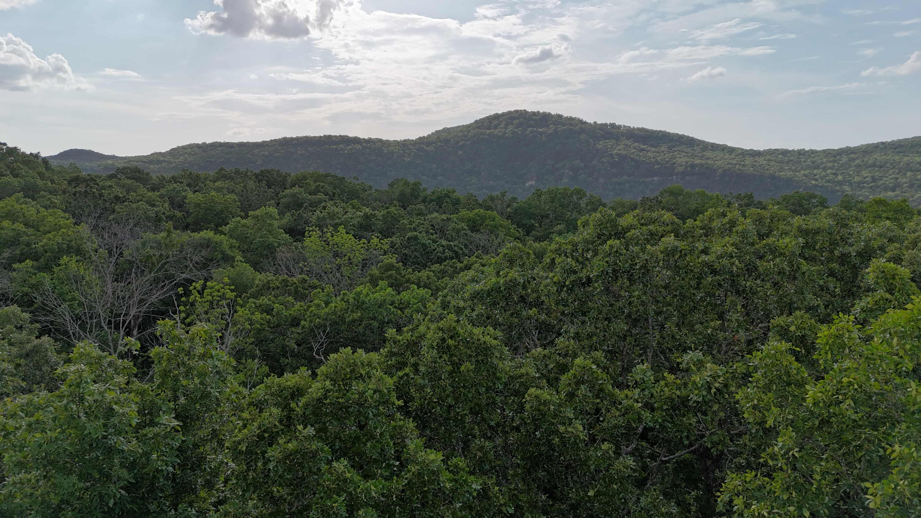 Photo 4 - Land for sale – 000  Bluebird Dr.   Golden, MO
