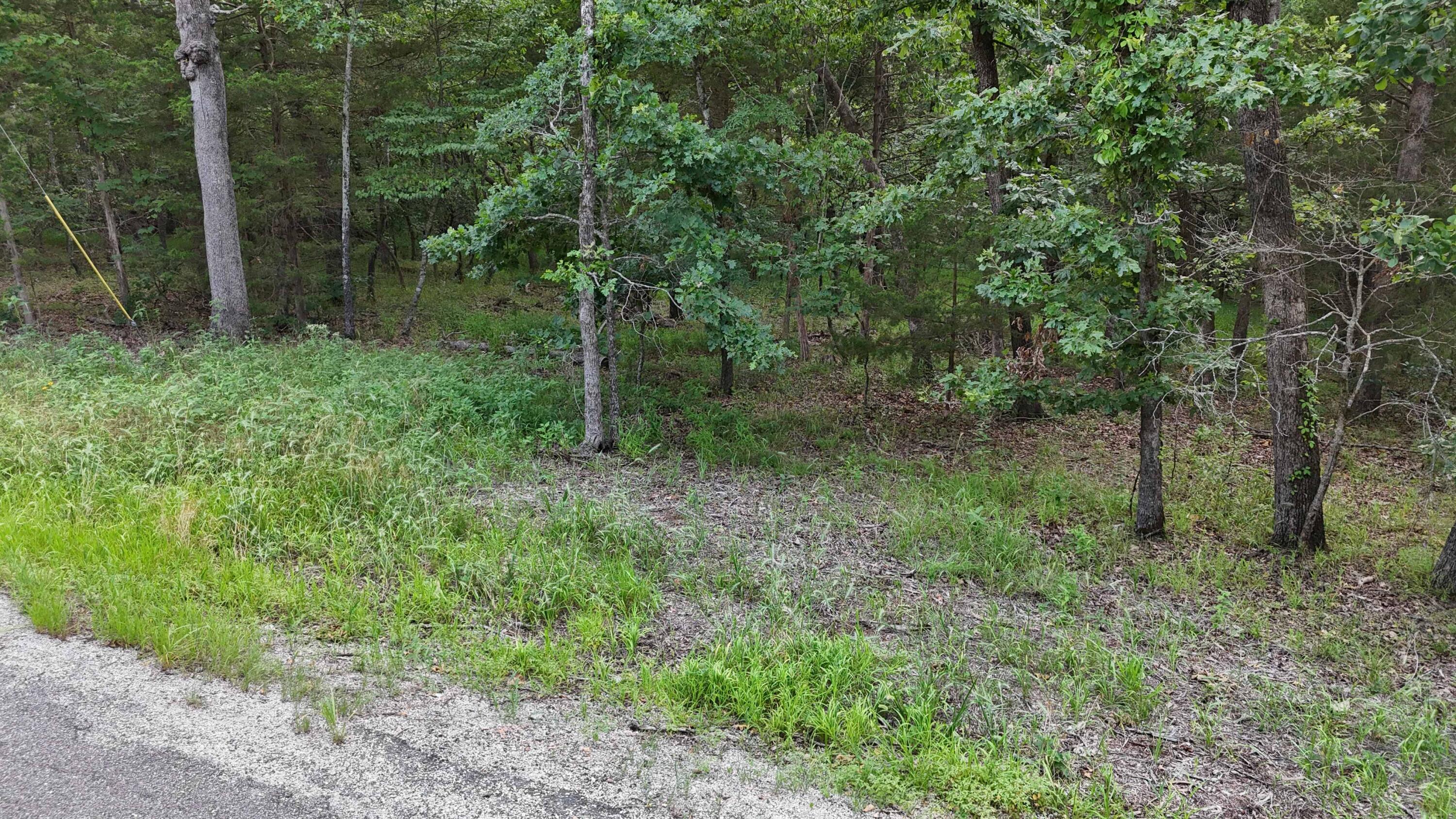 Photo 6 - Land for sale – 000  Bluebird Dr.   Golden, MO