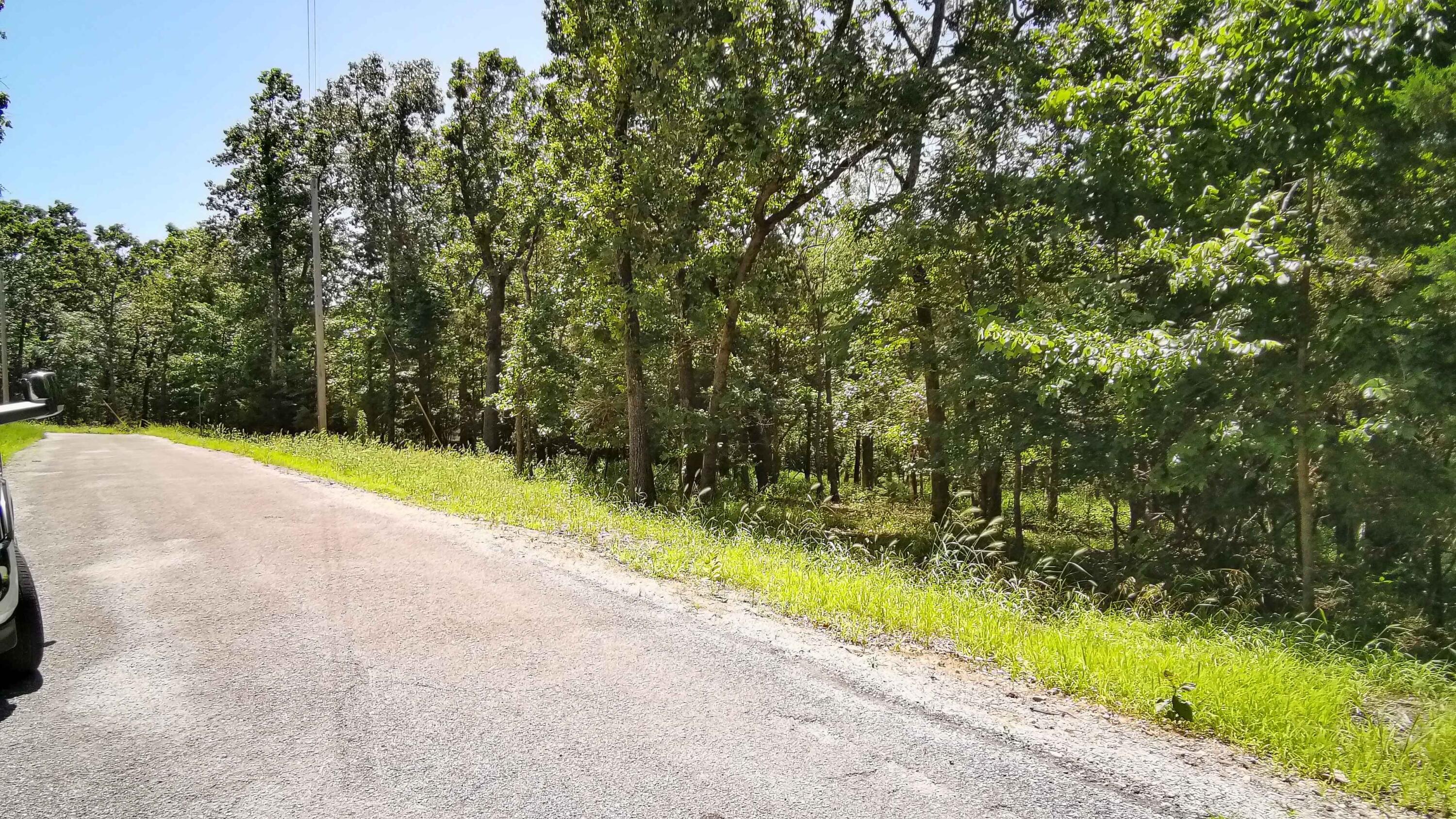 Photo 9 - Land for sale – 000  Bluebird Dr.   Golden, MO