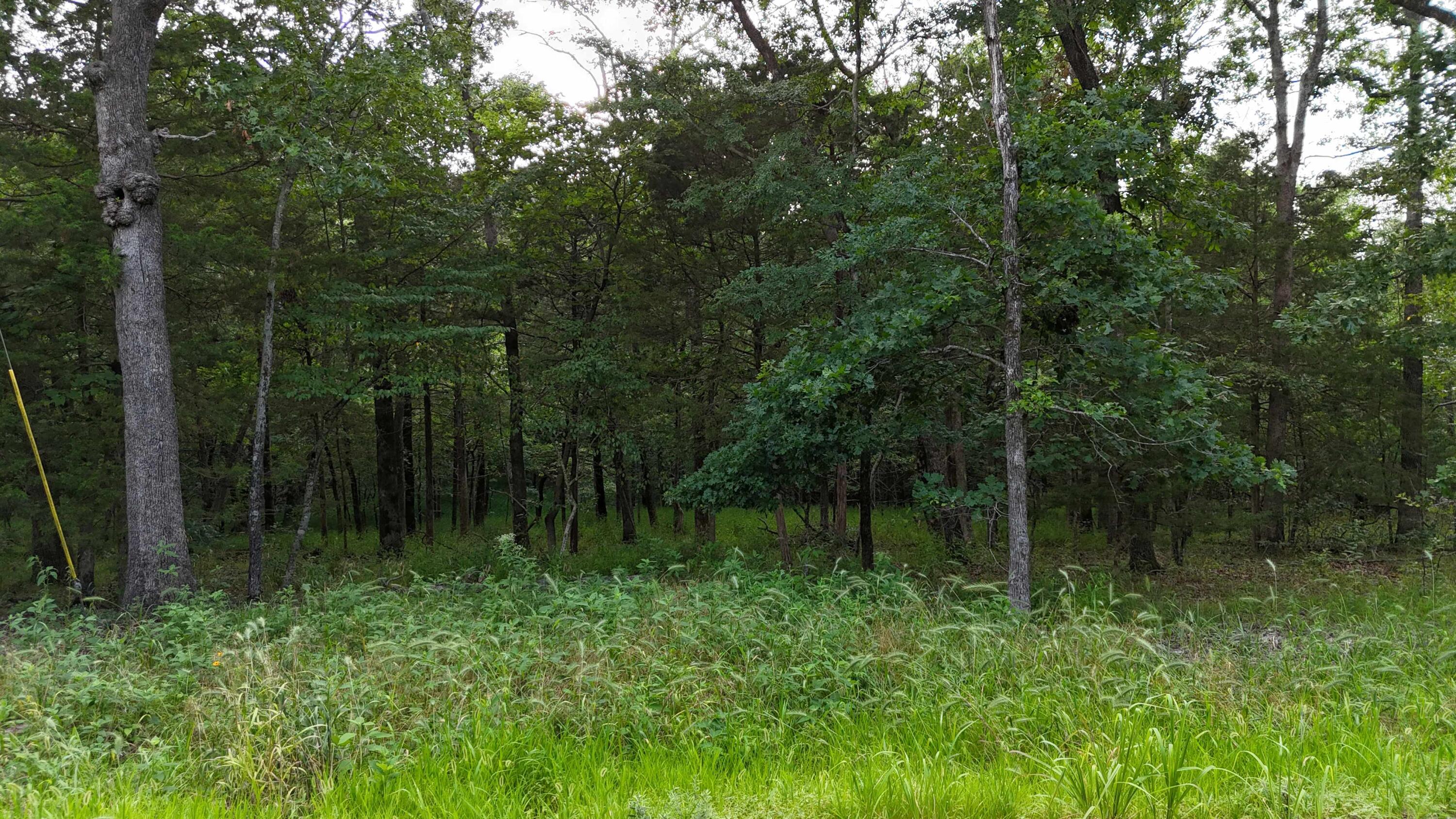 Photo 3 - Land for sale – 000  Bluebird Dr.   Golden, MO