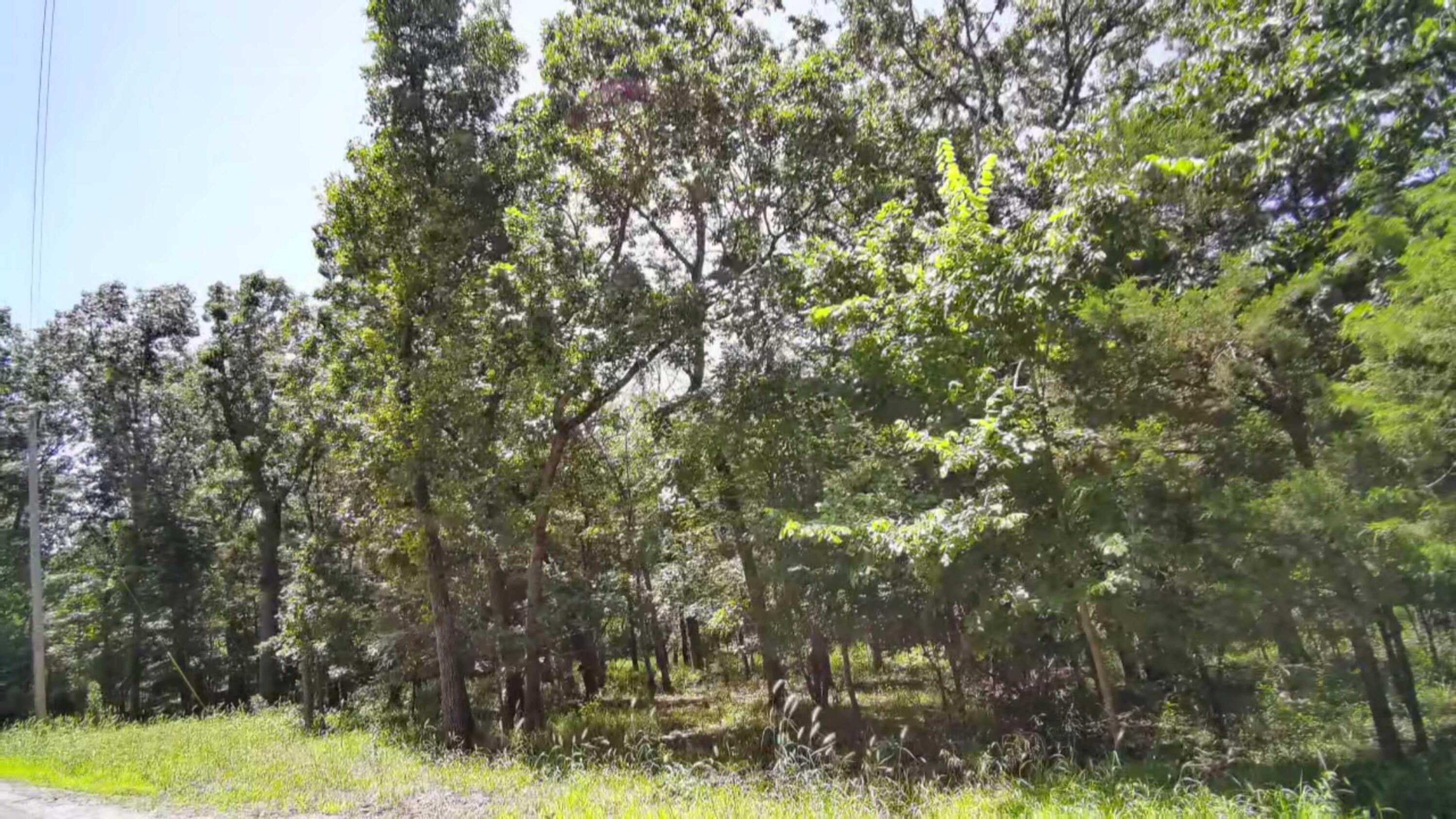 Photo 10 - Land for sale – 000  Bluebird Dr.   Golden, MO