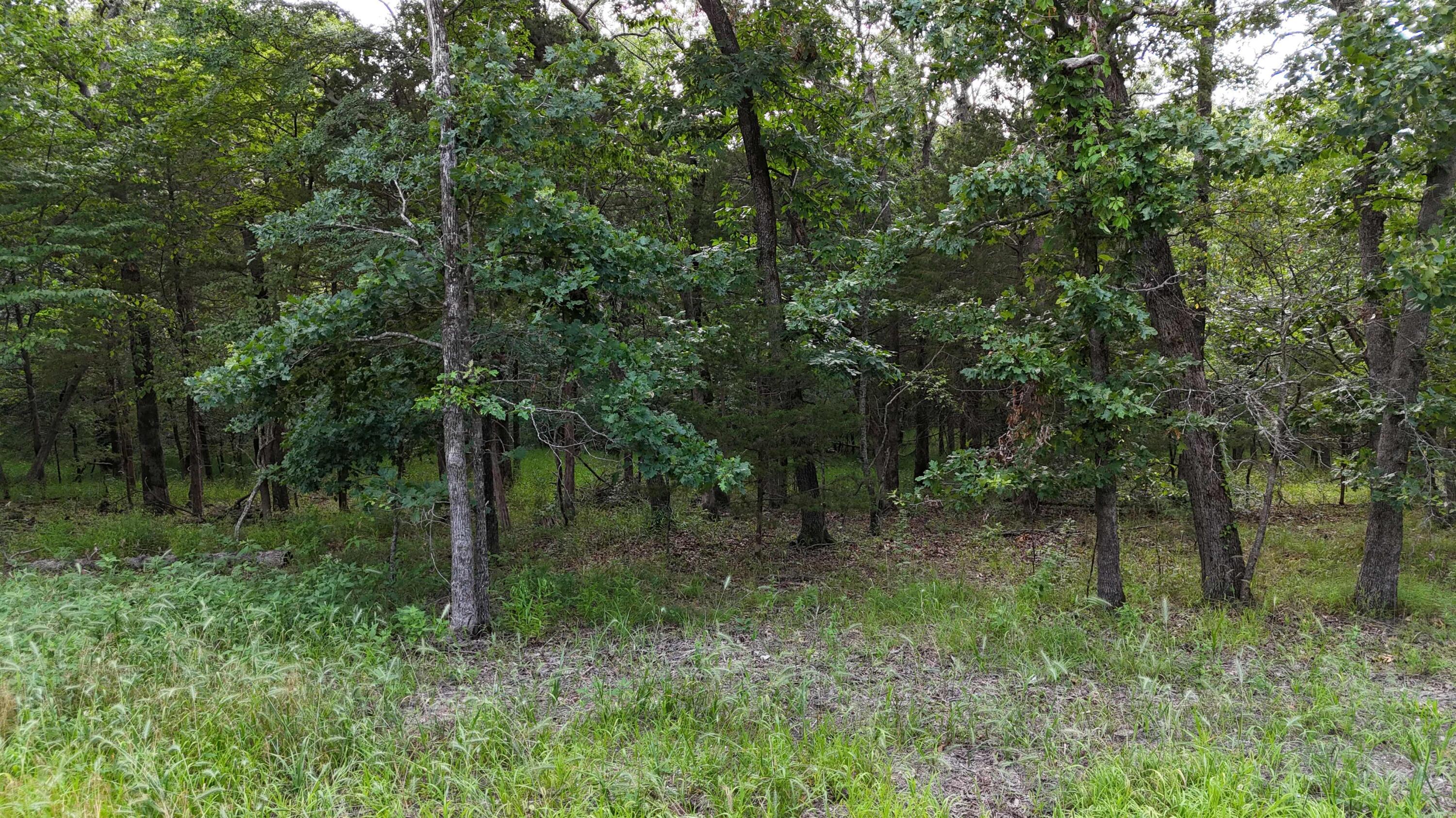 Photo 2 - Land for sale – 000  Bluebird Dr.   Golden, MO