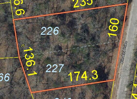 Photo 12 - Land for sale – 000  Bluebird Dr.   Golden, MO