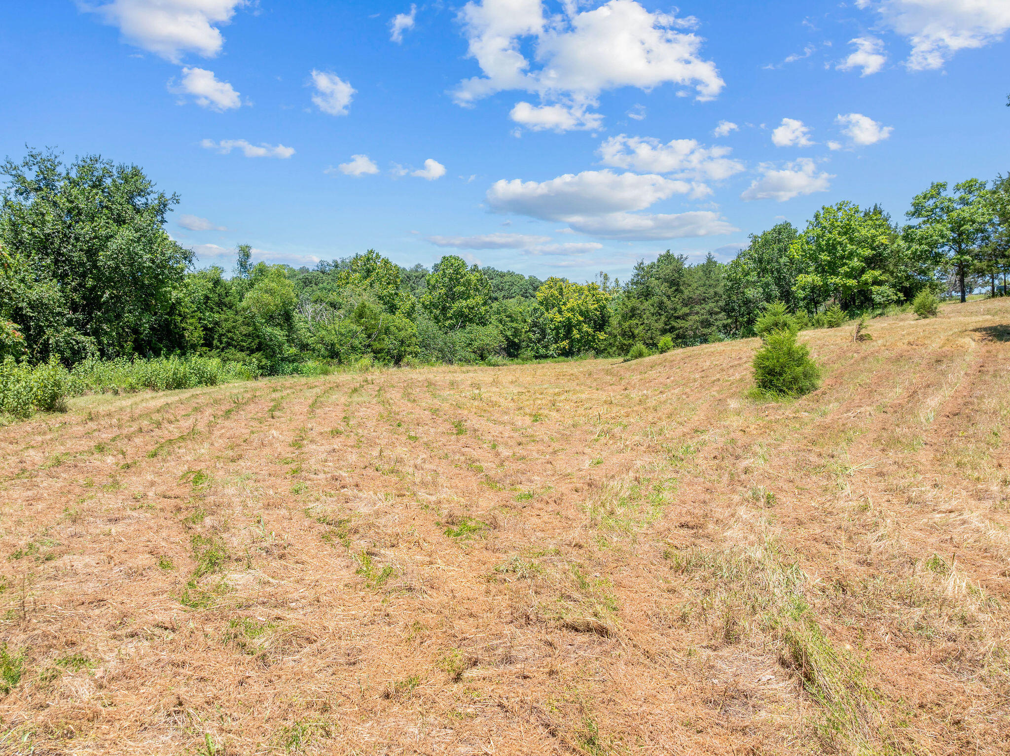 Photo 12 - Land for sale – 000  State Highway 248   Branson, MO