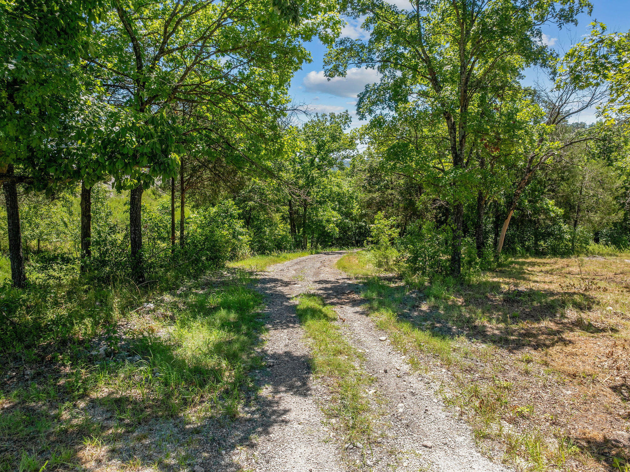 Photo 8 - Land for sale – 000  State Highway 248   Branson, MO
