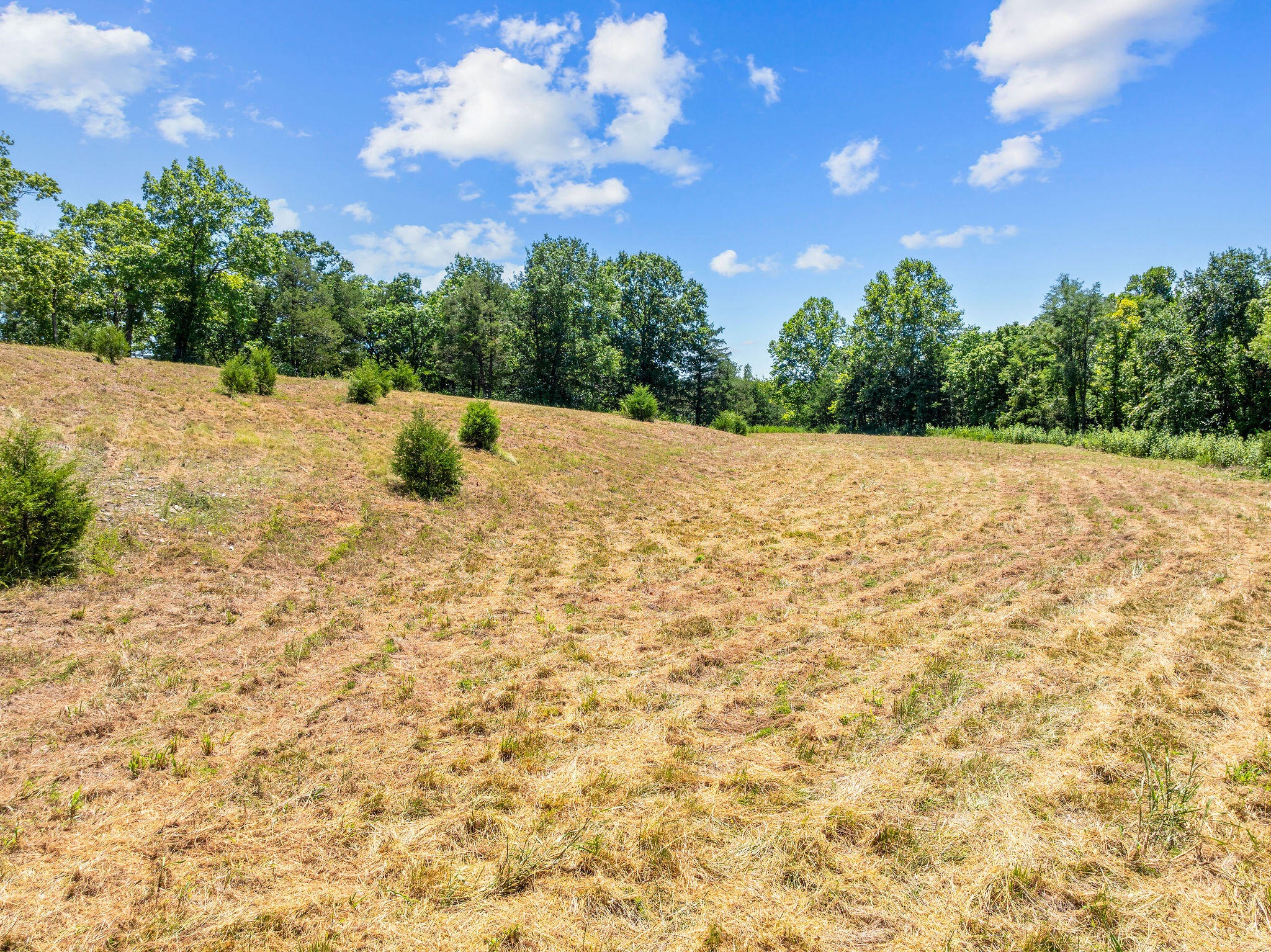 Photo 11 - Land for sale – 000  State Highway 248   Branson, MO