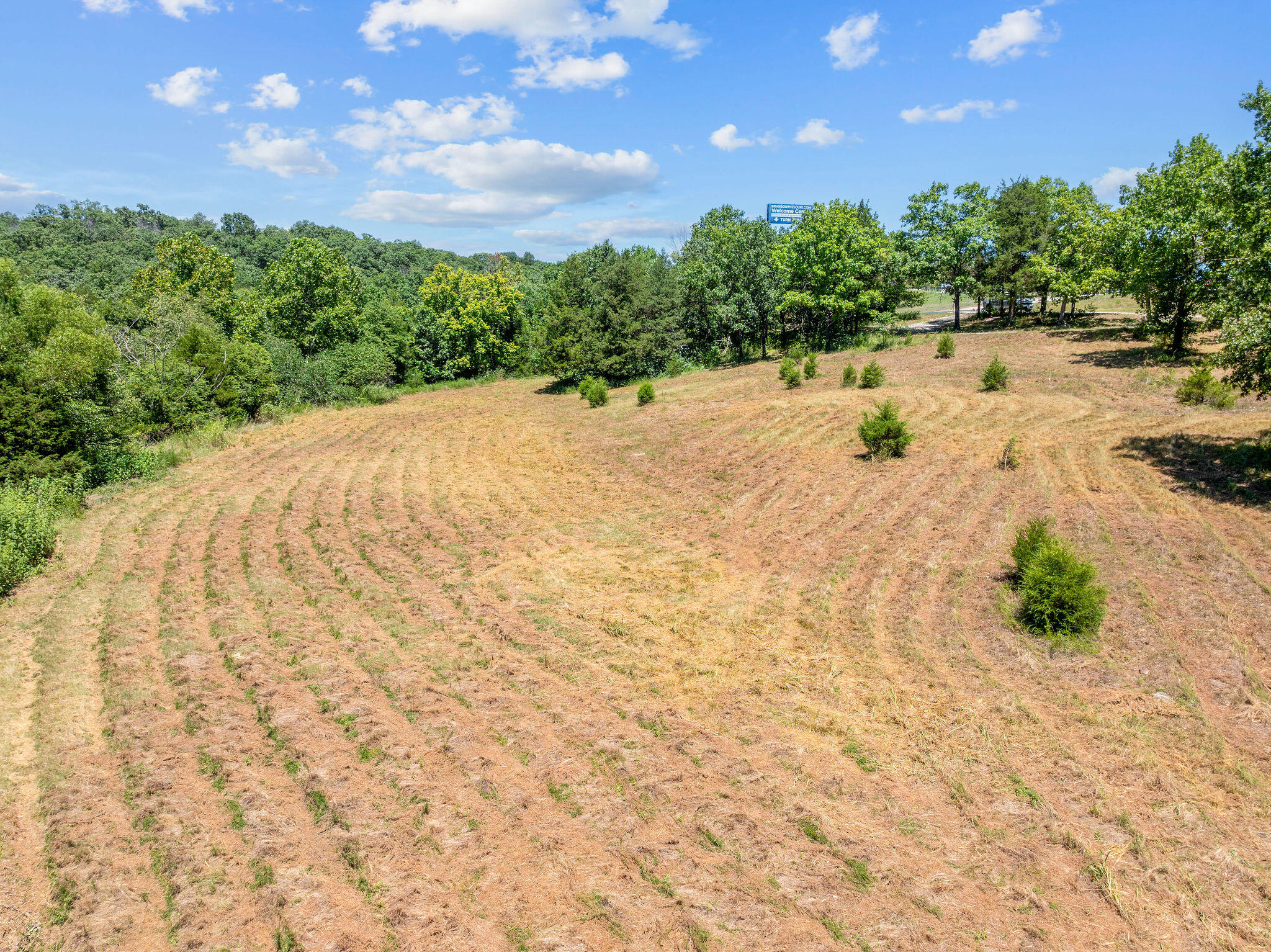 Photo 13 - Land for sale – 000  State Highway 248   Branson, MO