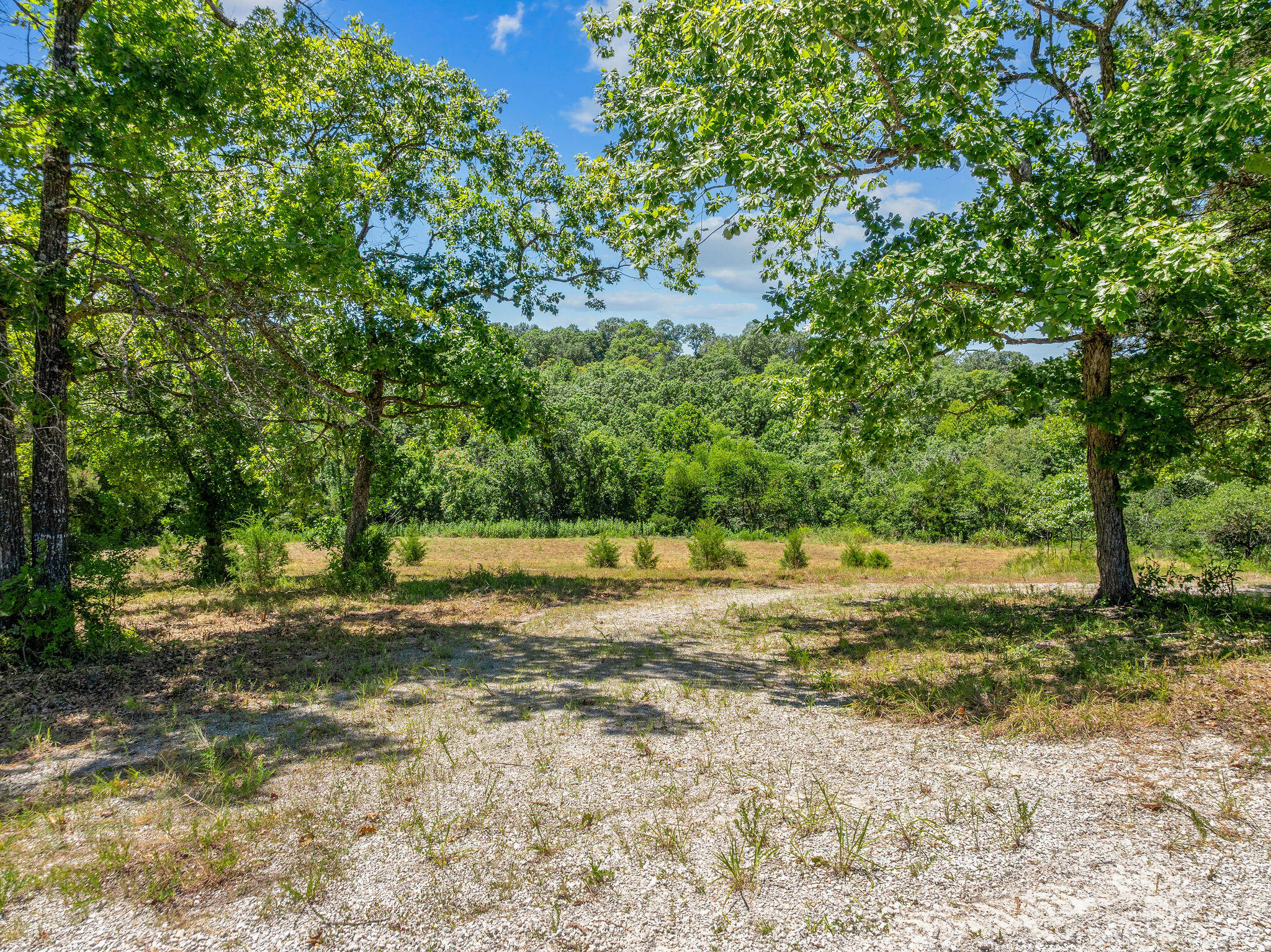 Photo 7 - Land for sale – 000  State Highway 248   Branson, MO