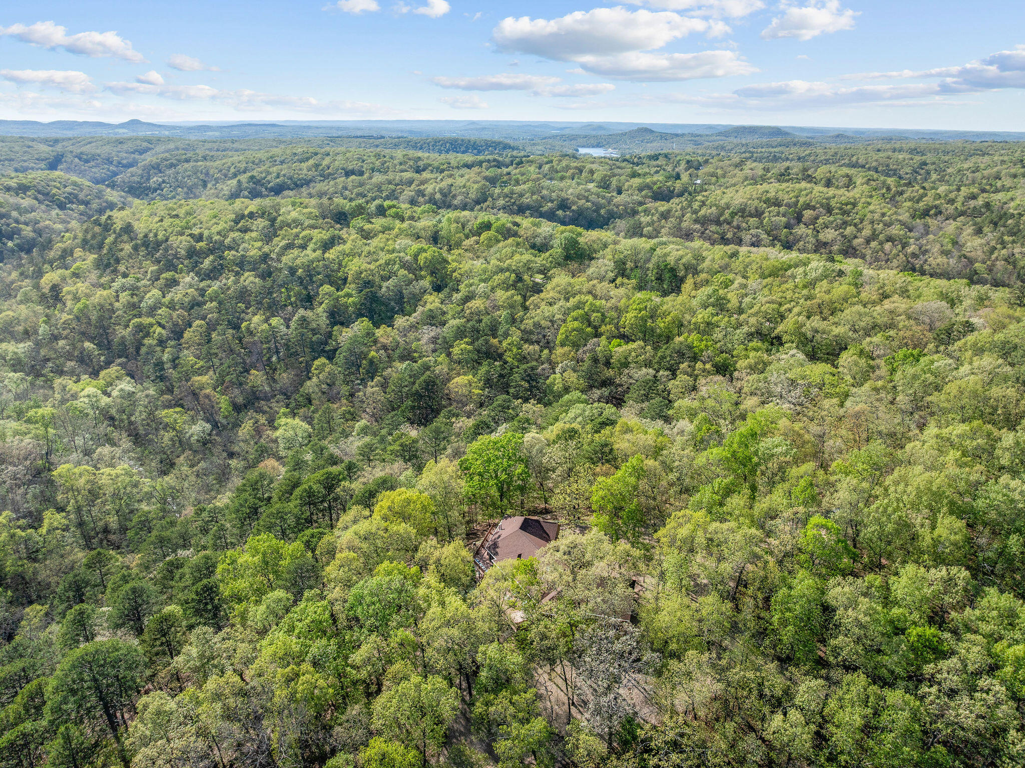 Photo 8 - Land for sale – 160  Old Horseshoe   Lampe, MO