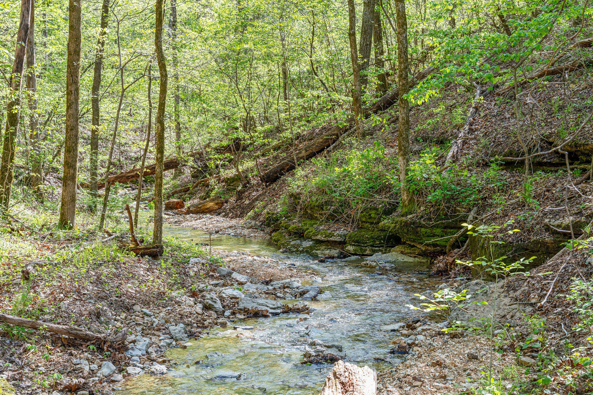 Photo 4 - Land for sale – 160  Old Horseshoe   Lampe, MO