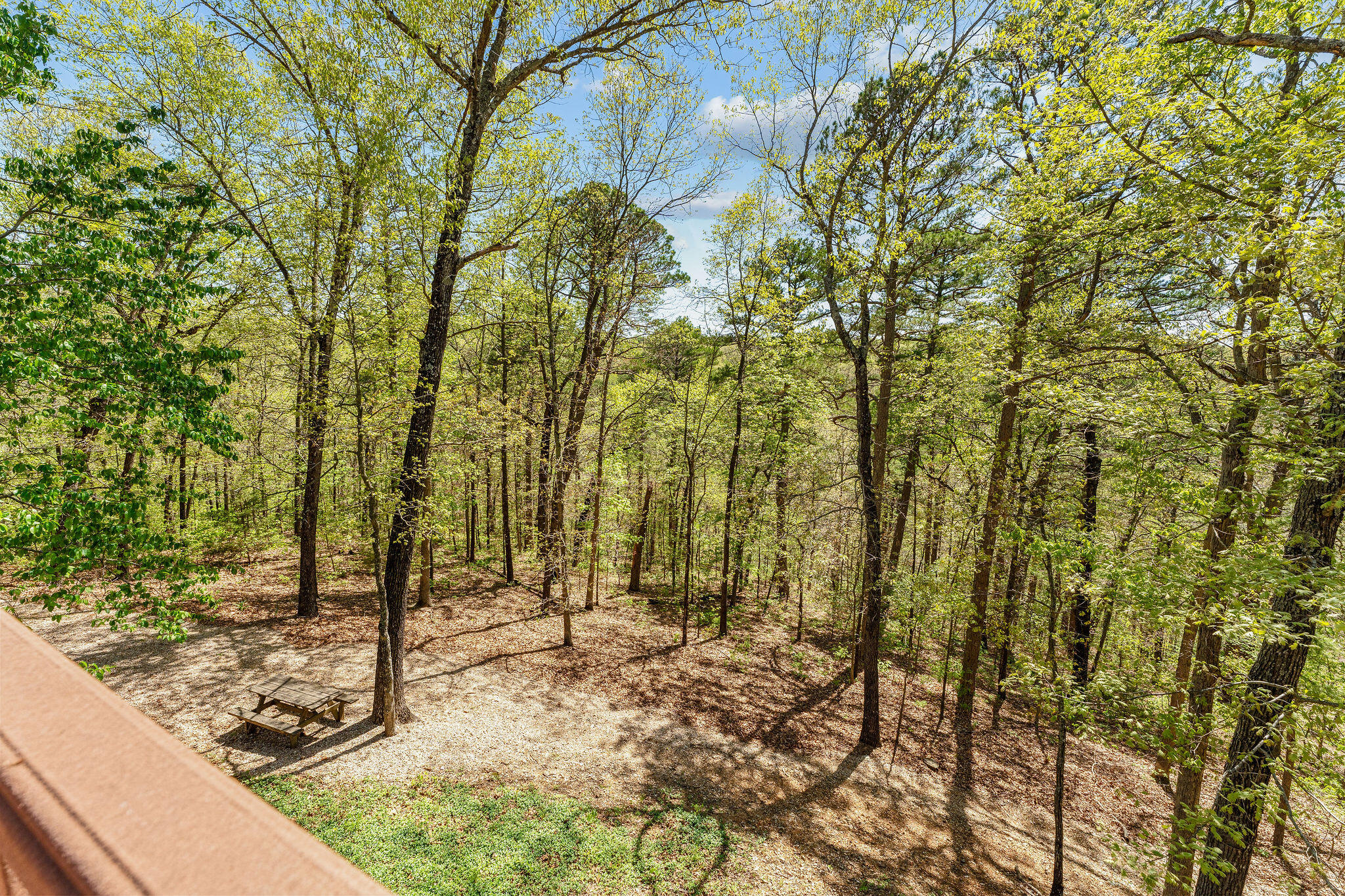 Photo 52 - Land for sale – 160  Old Horseshoe   Lampe, MO