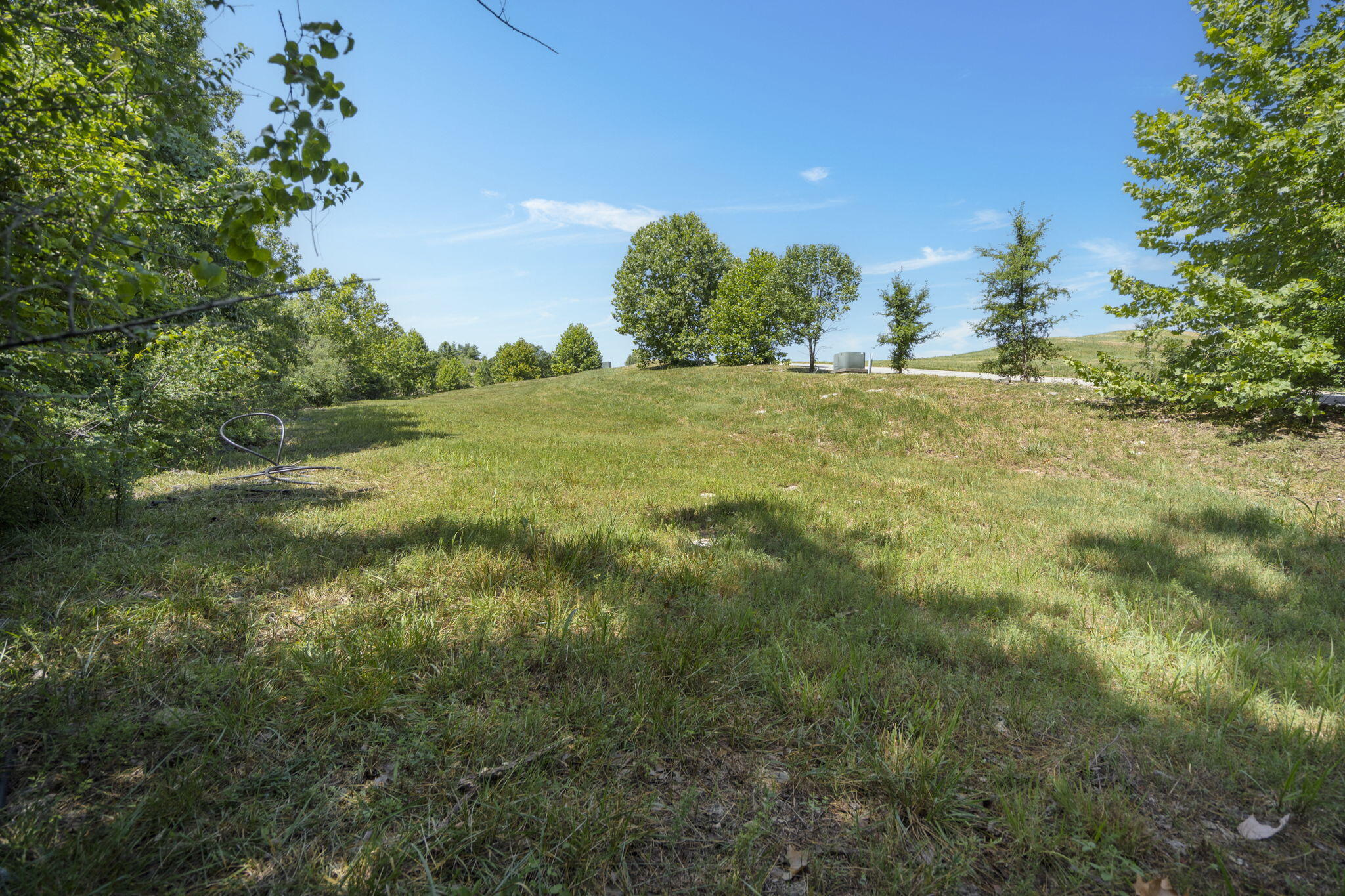 Photo 6 - Land for sale – Lot 19  Legends Lane  Hollister, MO