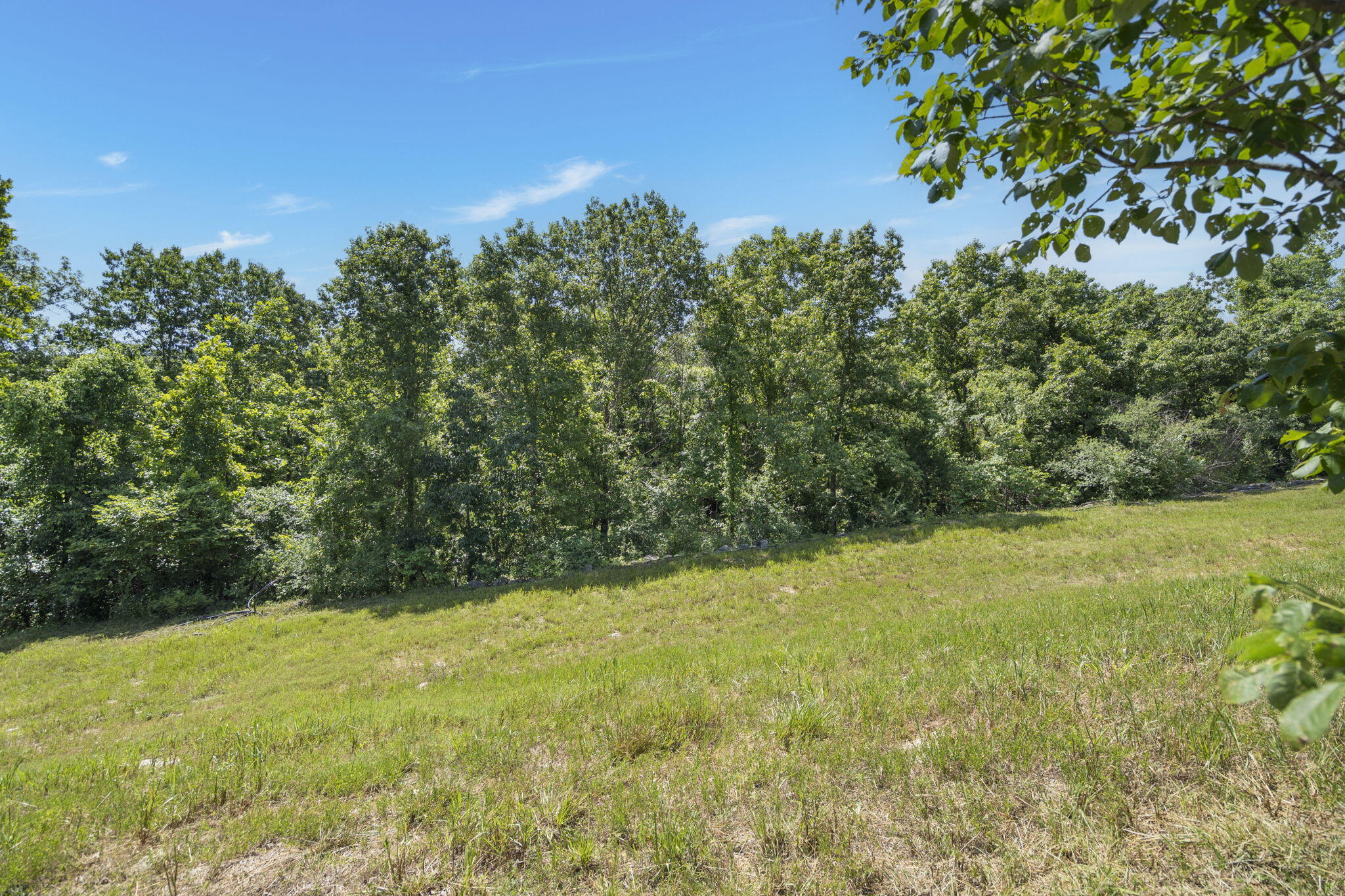 Photo 8 - Land for sale – Lot 19  Legends Lane  Hollister, MO