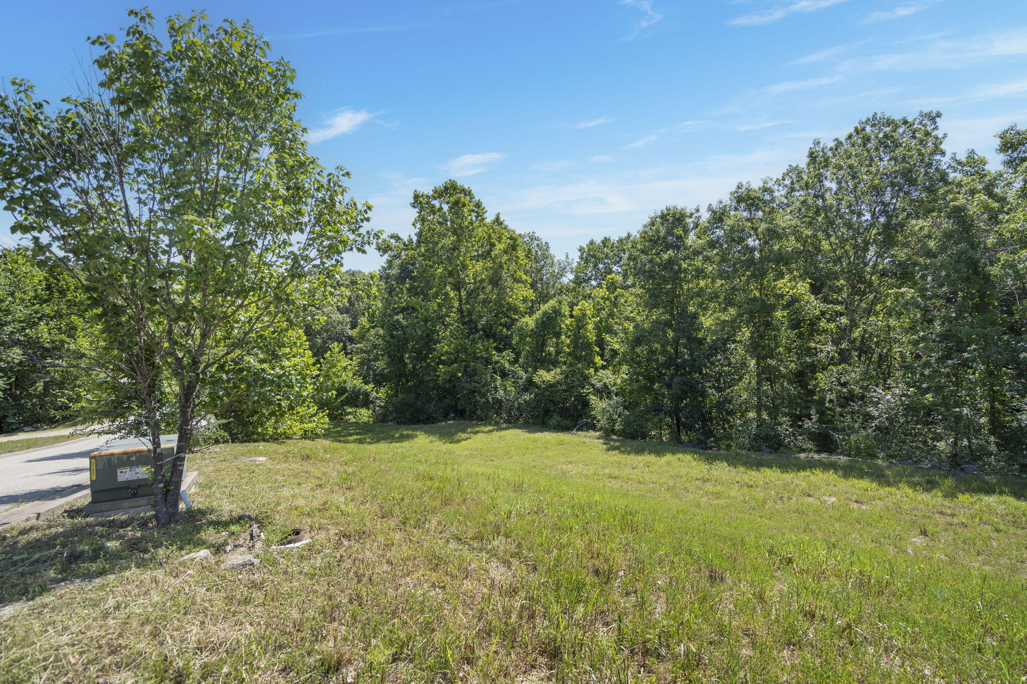 Photo 3 - Land for sale – Lot 19  Legends Lane  Hollister, MO