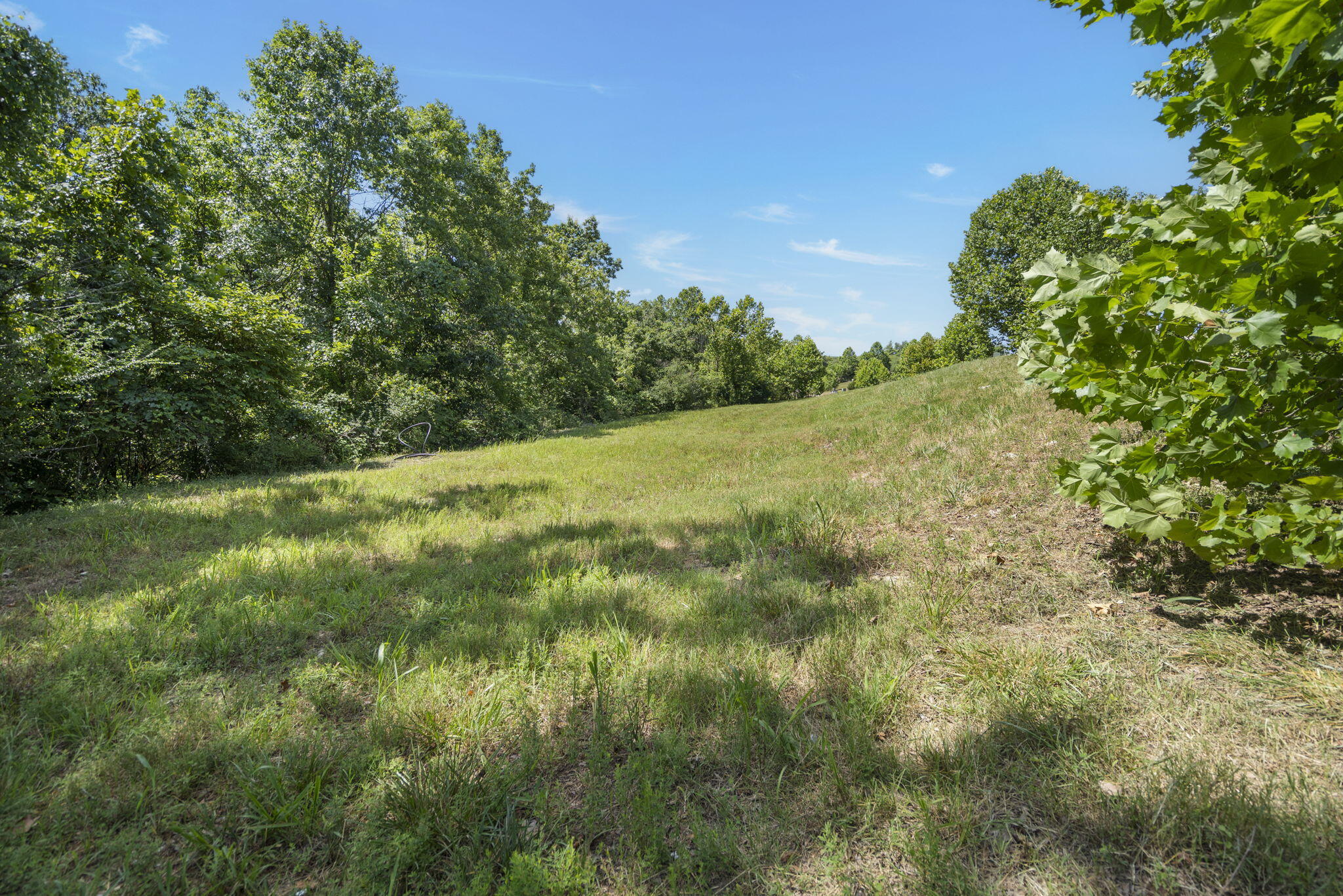Photo 7 - Land for sale – Lot 19  Legends Lane  Hollister, MO