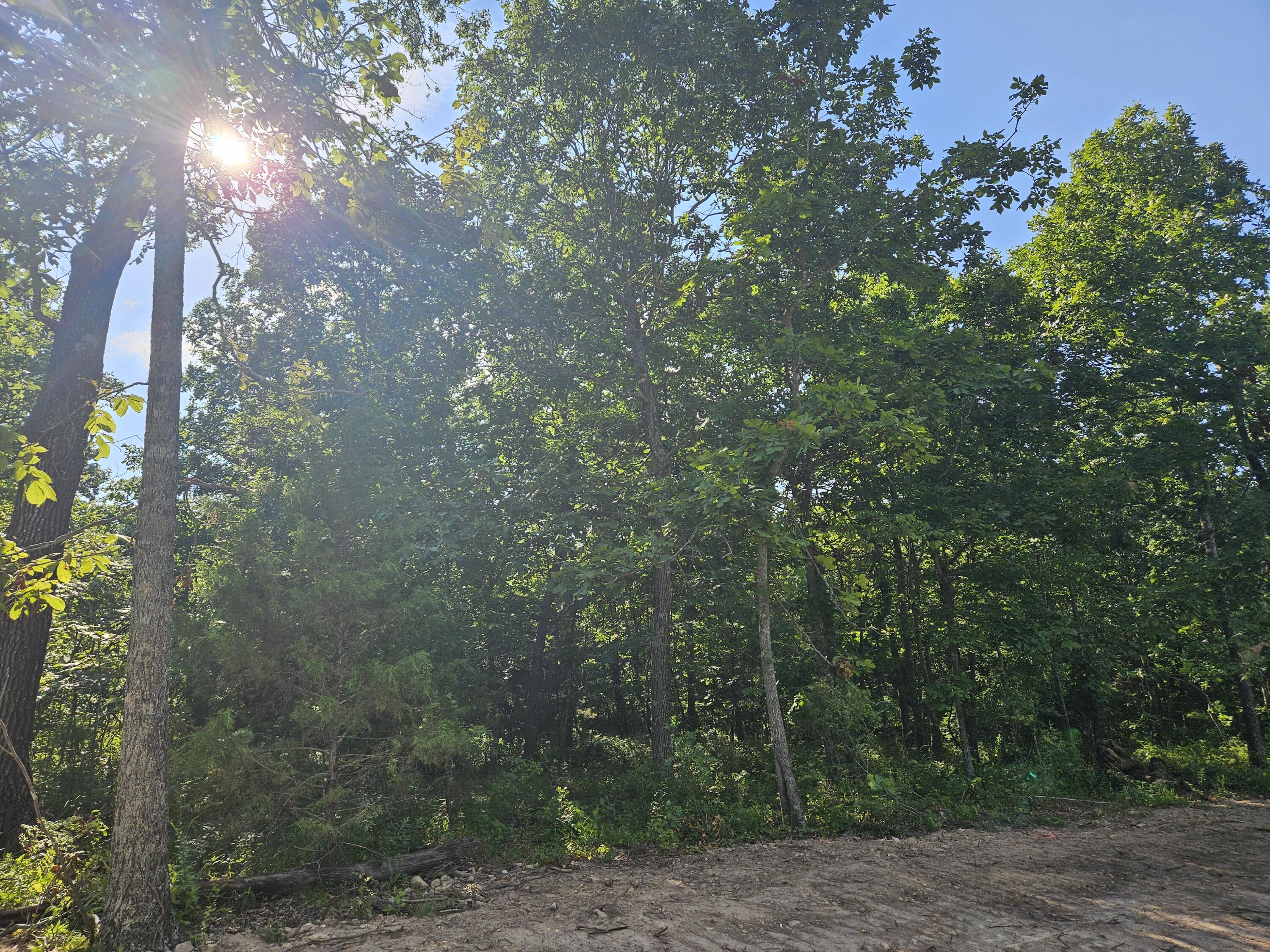 Photo 8 - Land for sale – Lot 1  Deerwood Estates   Aurora, MO
