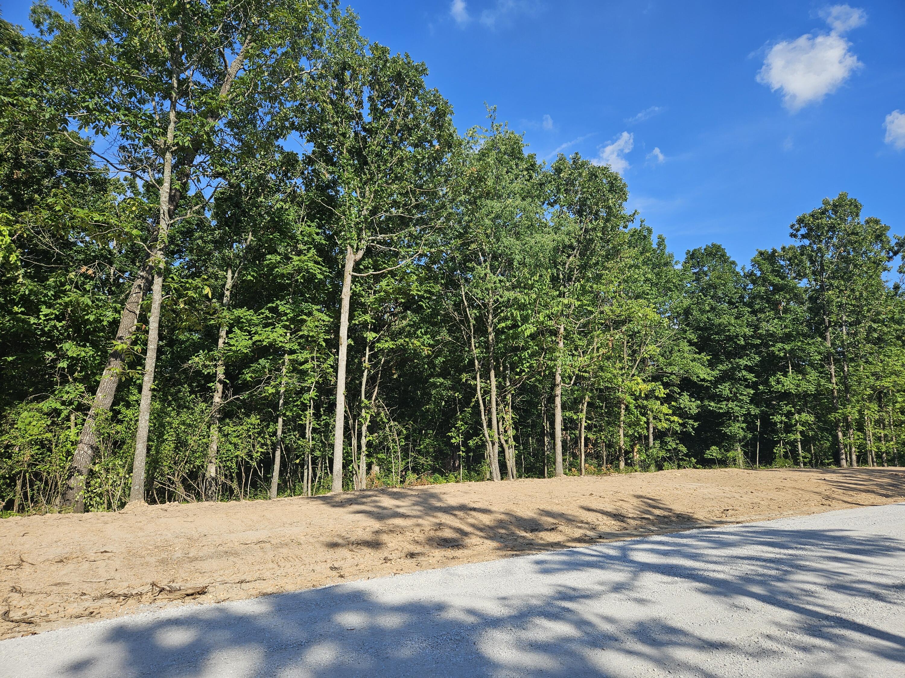 Photo 10 - Land for sale – Lot 2  Deerwood Estates   Aurora, MO