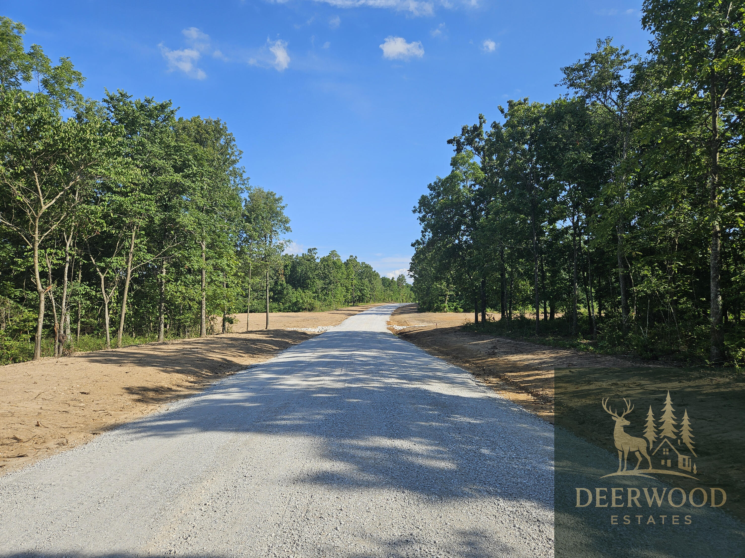 Land for sale – Lot 10  Deerwood Estates   Aurora, MO